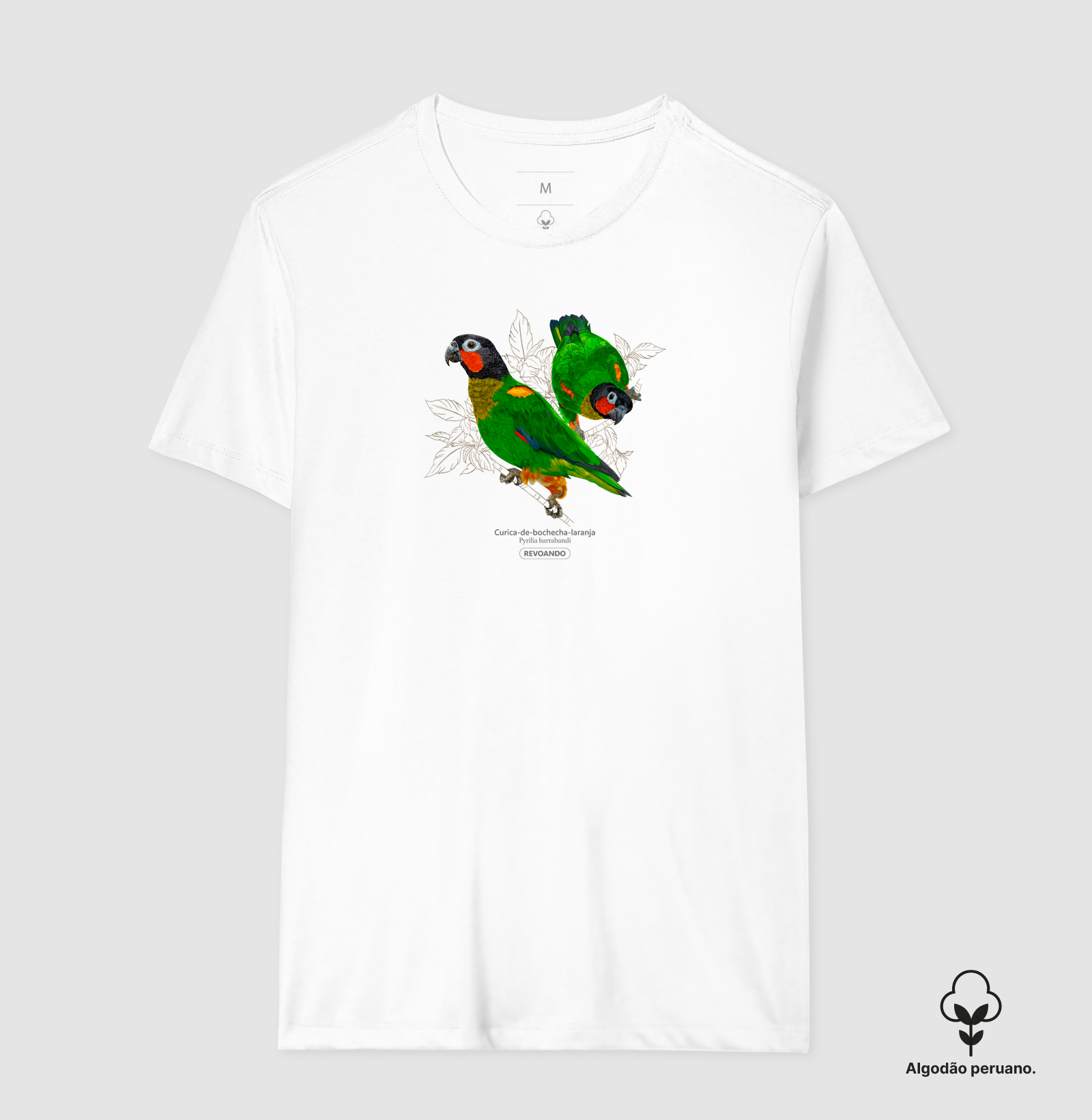 Camisa 6