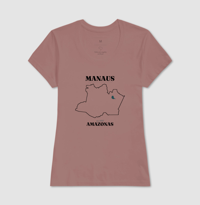 Manaus | Legado AM - Imagem 17