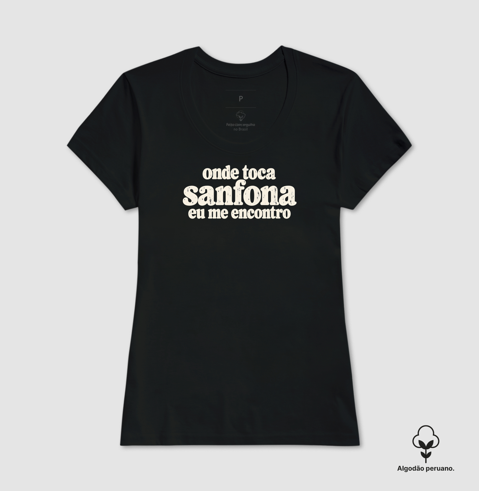 Onde toca sanfona eu me encontro - Imagem 4