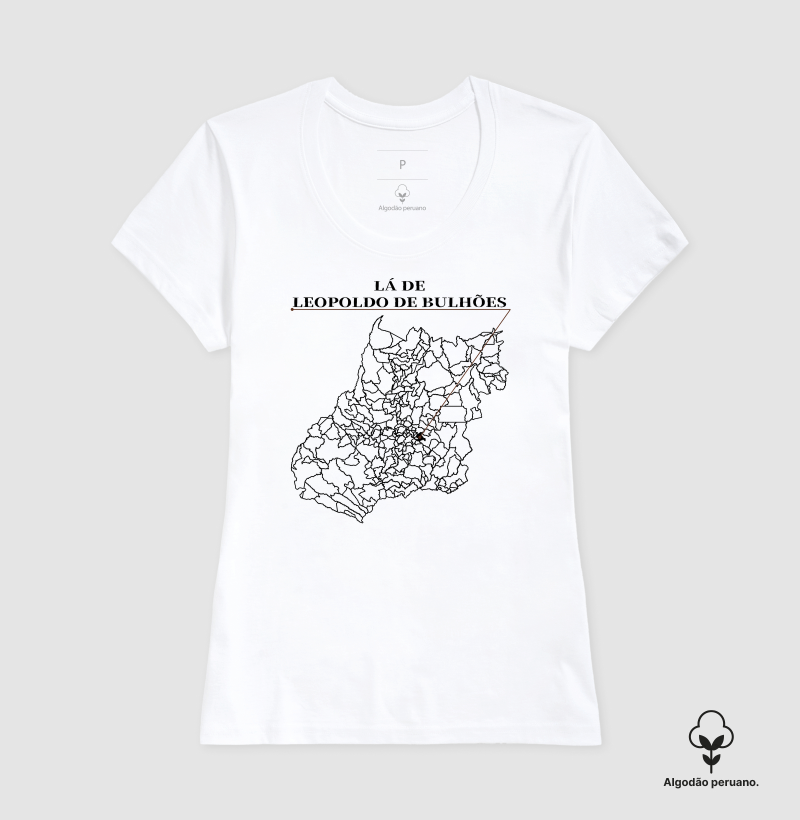 Leopoldo de Bulhões | Origem GO - Imagem 5