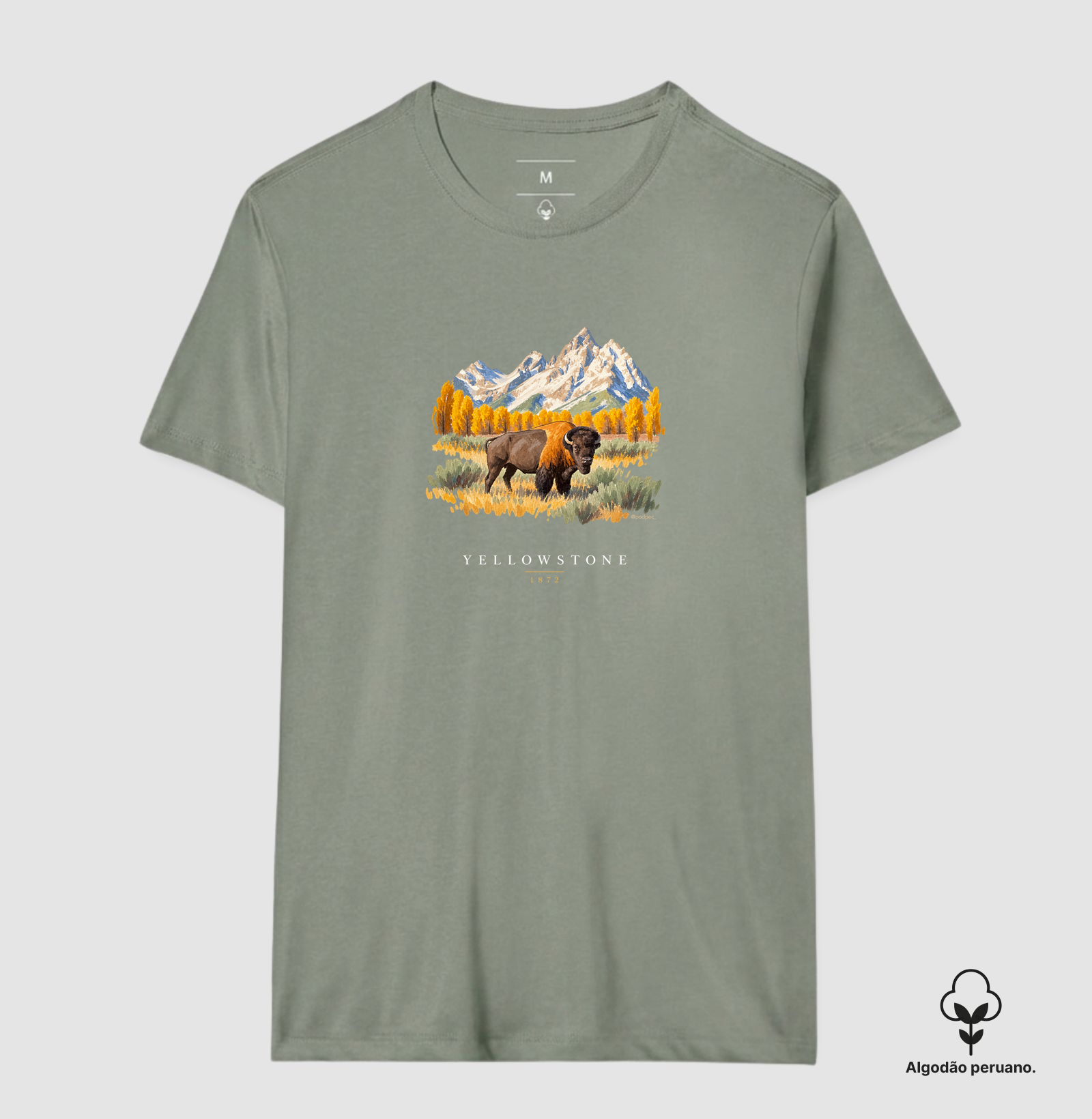 Bison - Yellowstone - Imagem 3