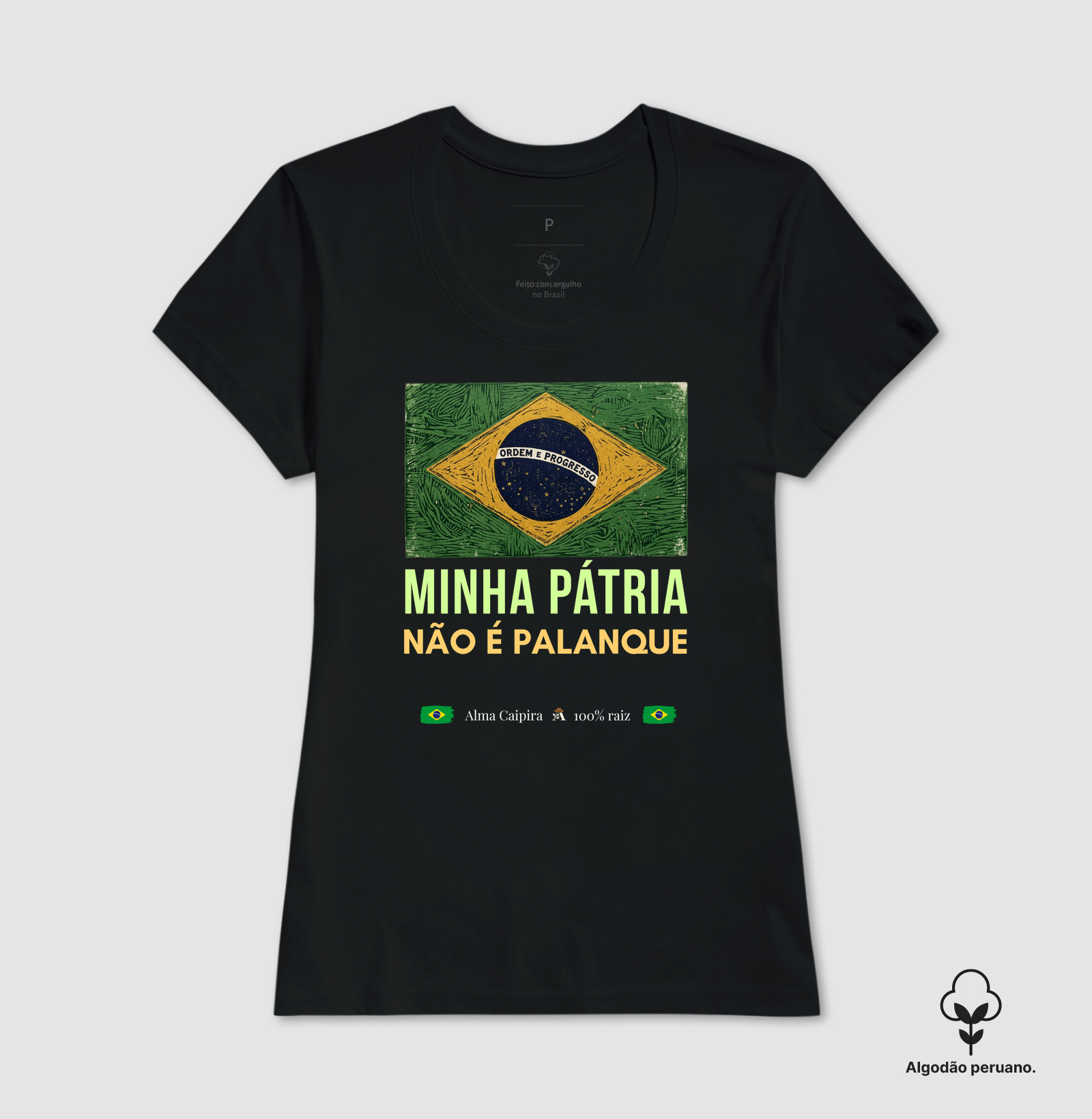 Minha Pátria não é palanque - Imagem 2