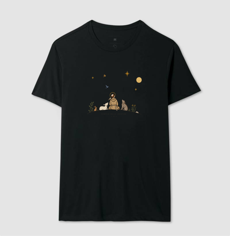São Francisco e as estrelas - Imagem 2