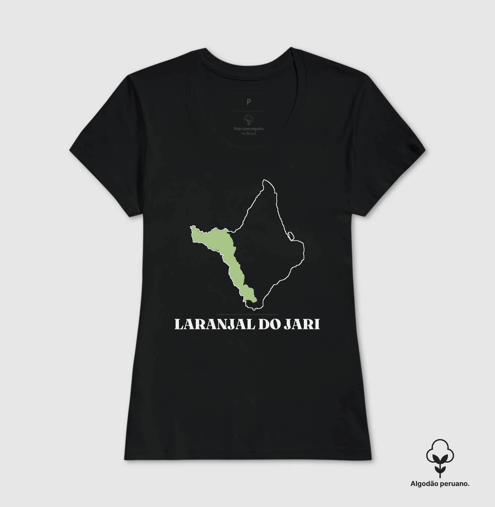 Laranjal do Jari | Traço AP - Imagem 4