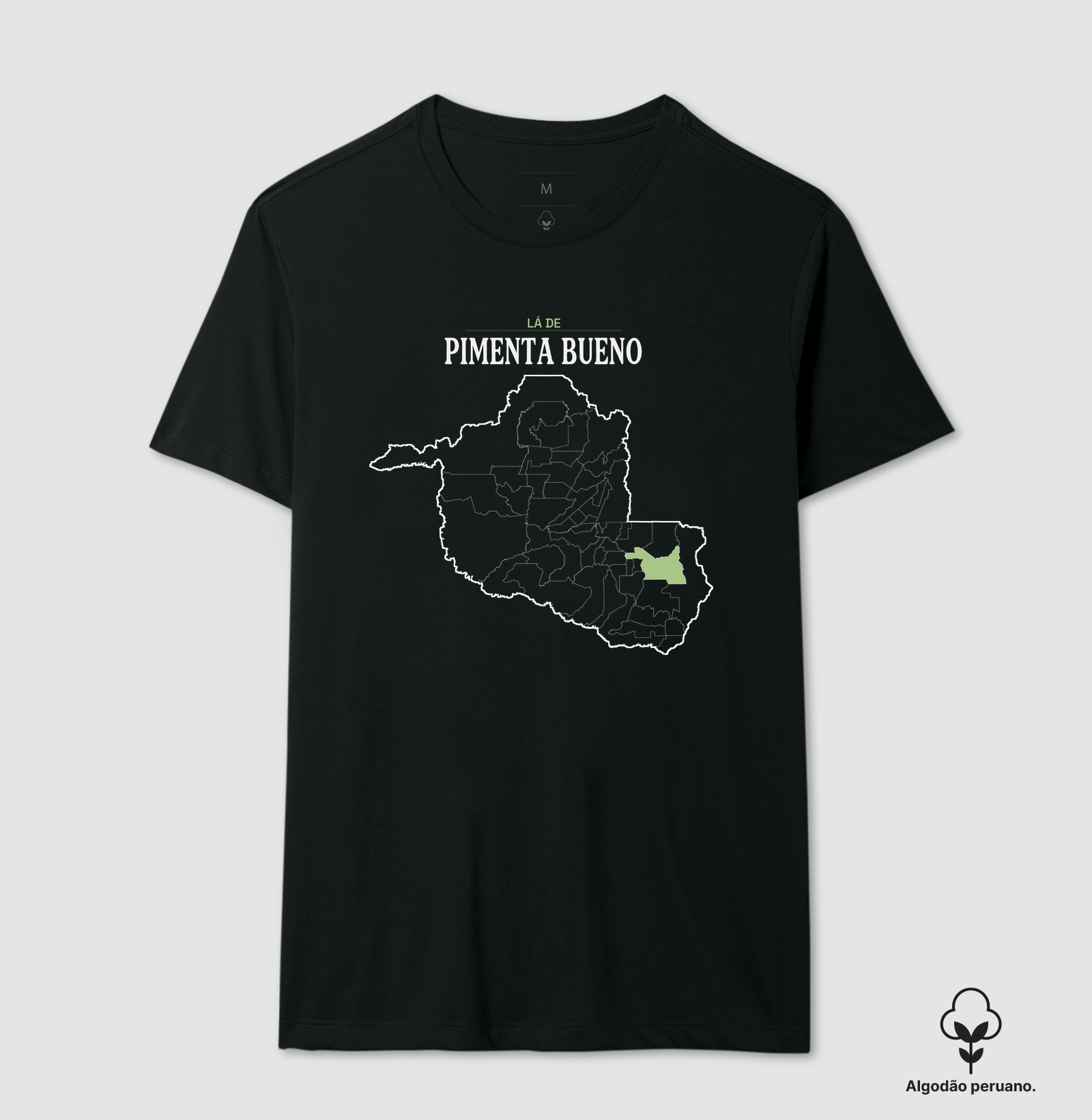 Pimenta Bueno | Território RO - Imagem 4