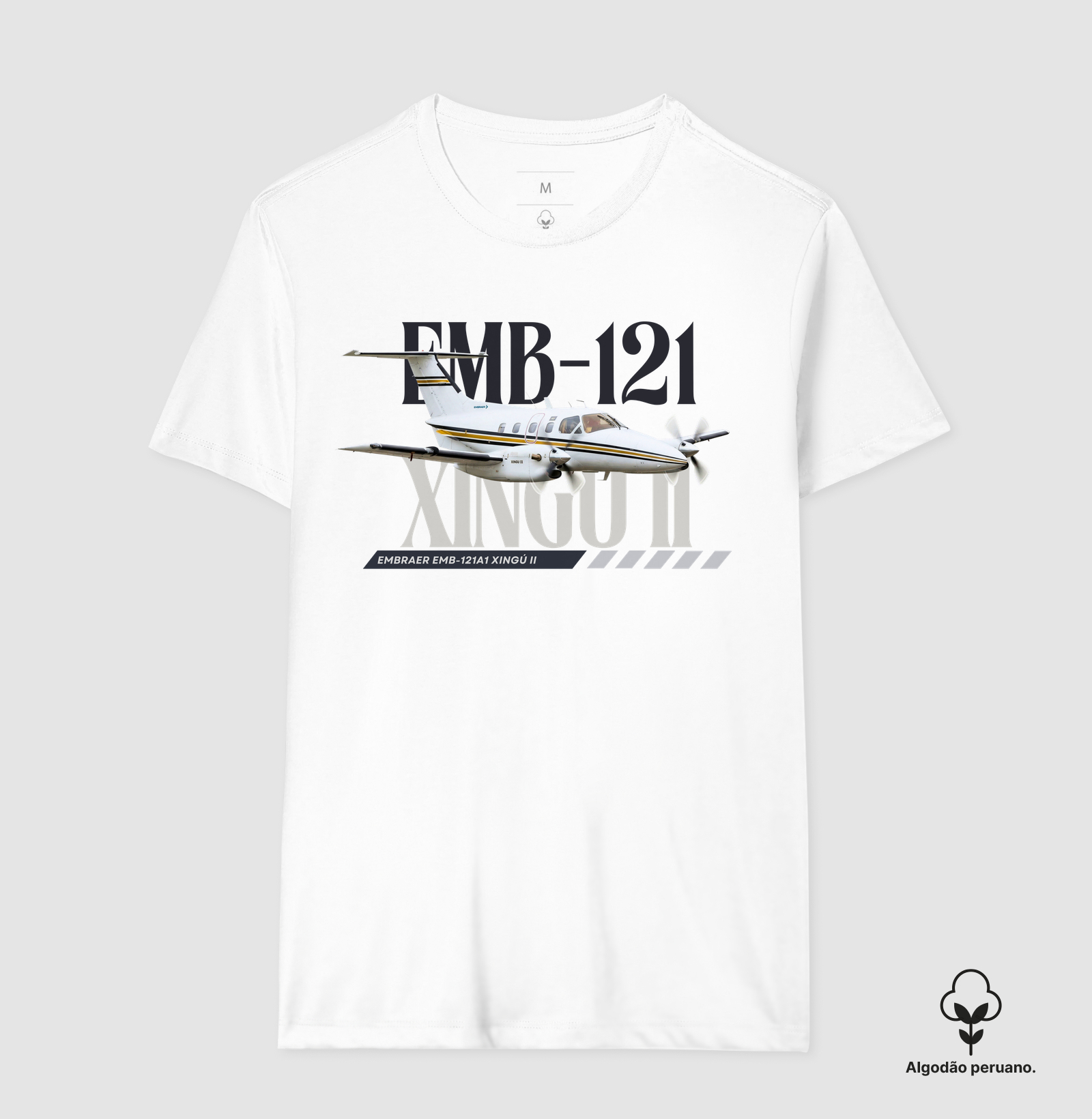 EMB121 Xingú II - PT-MCJ - Imagem 3