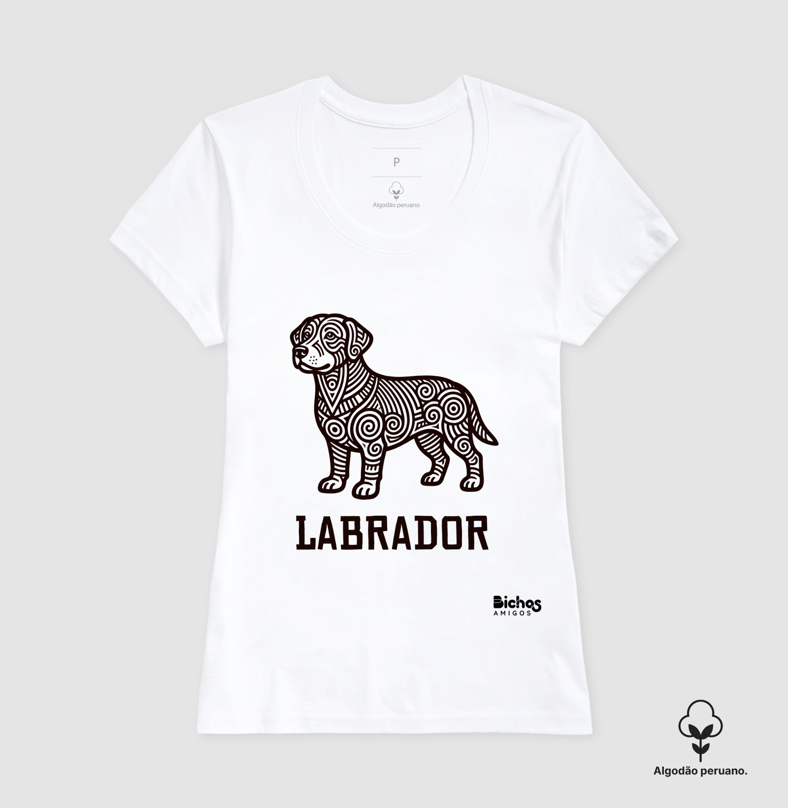 Labrador Mesoamericanos - Imagem 4