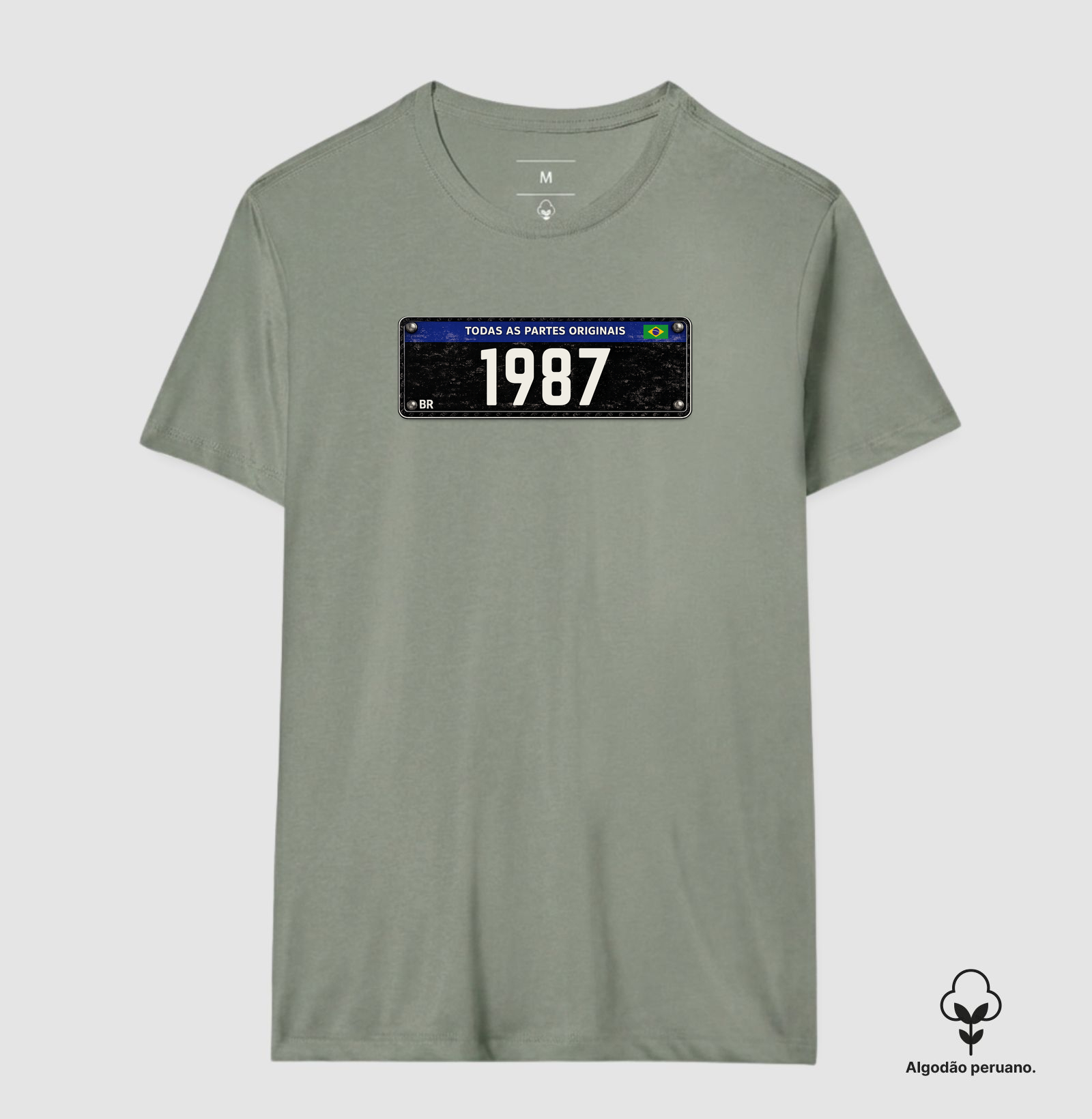 Placa Preta 1987 - Imagem 6