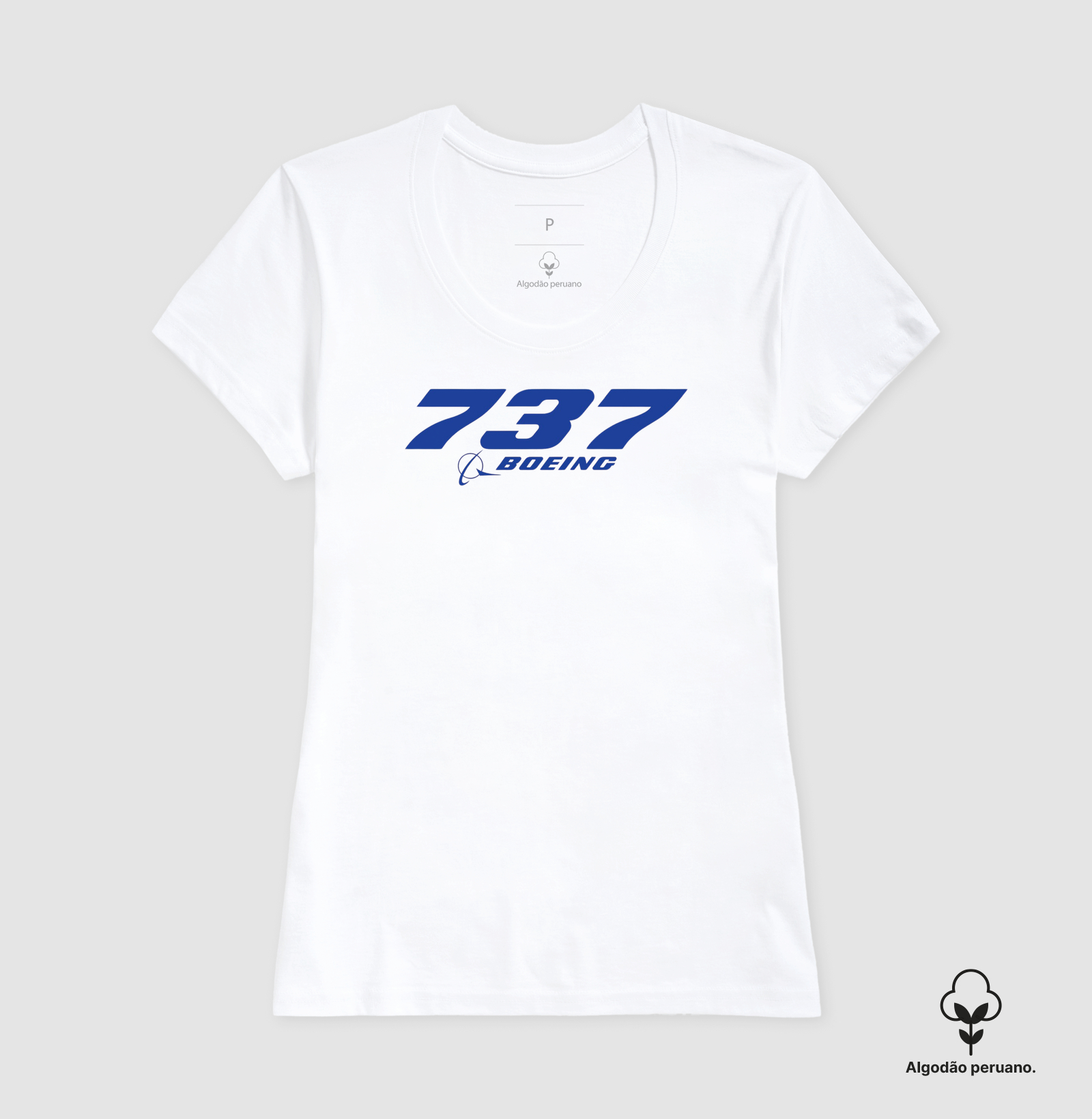 BOEING 737 - Imagem 6
