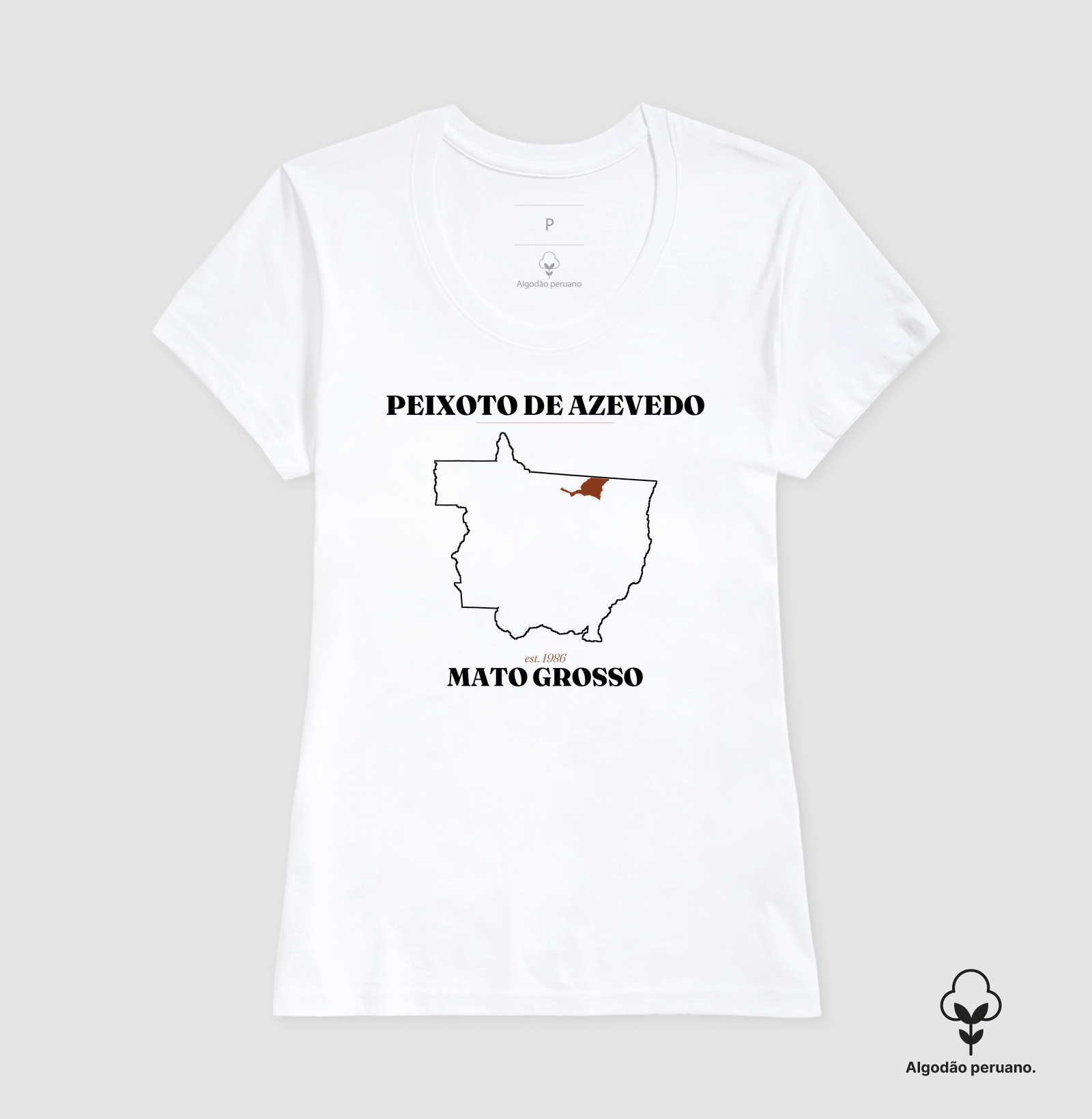 Peixoto de Azevedo | Legado MT - Imagem 7