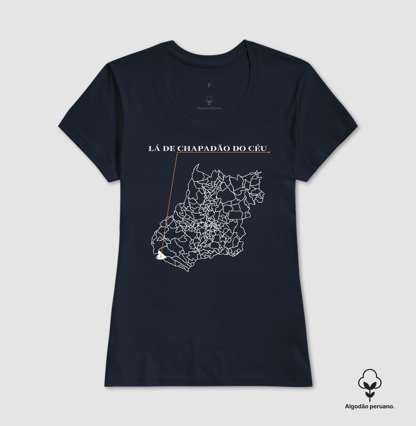 Chapadão do Céu | Origem GO - Imagem 9