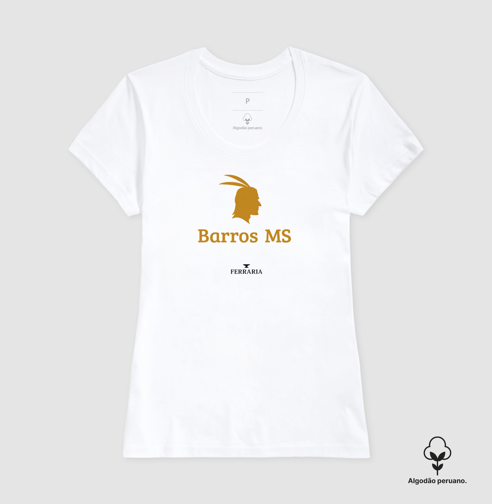 Barros MS - Imagem 3