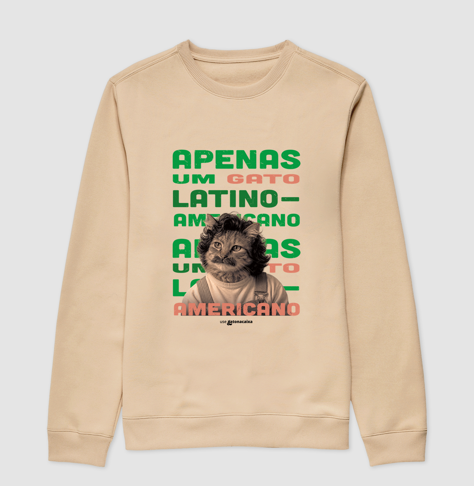 Apenas um gato latino-americano - Imagem 3