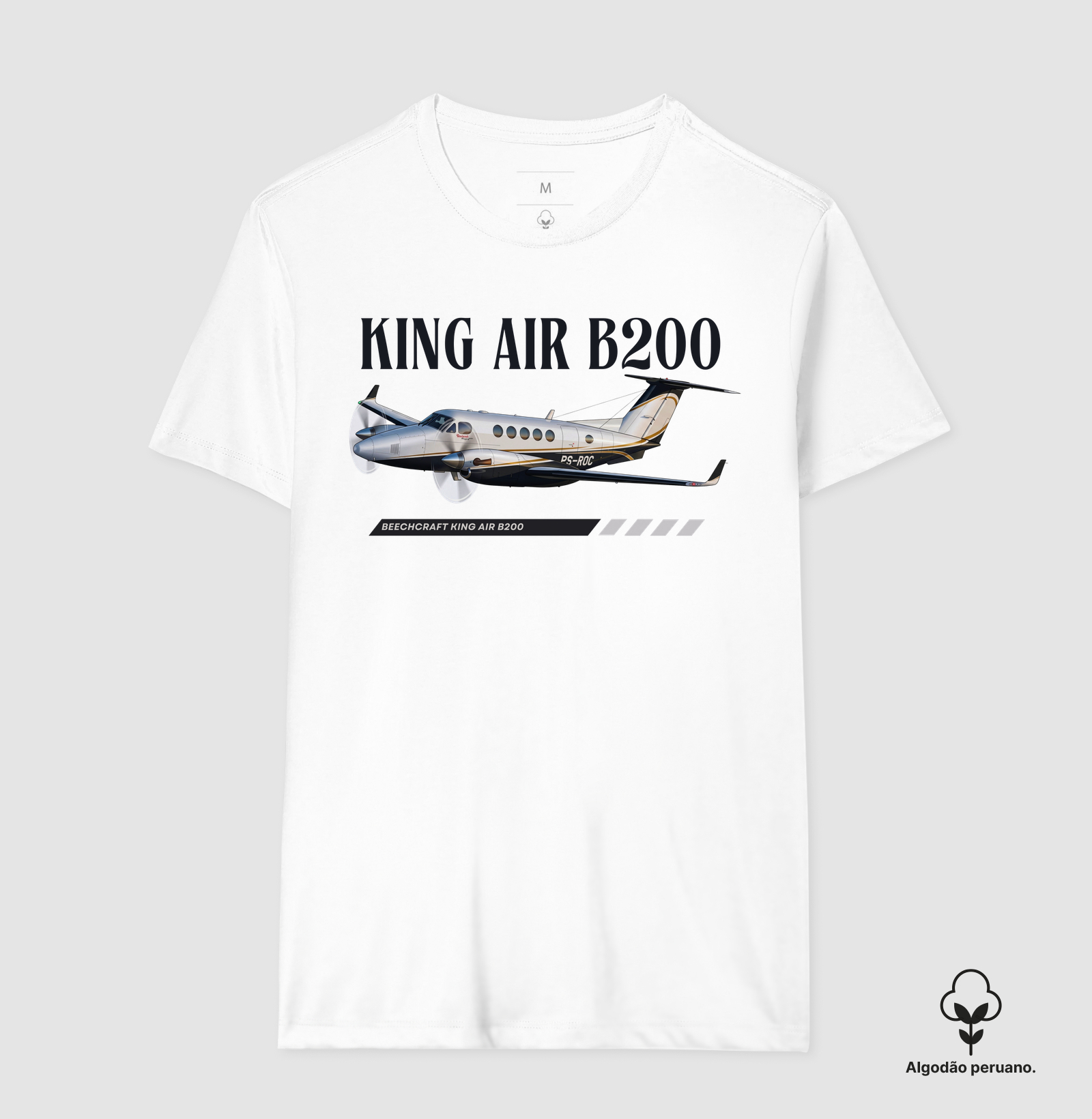 King Air B200 - Imagem 6