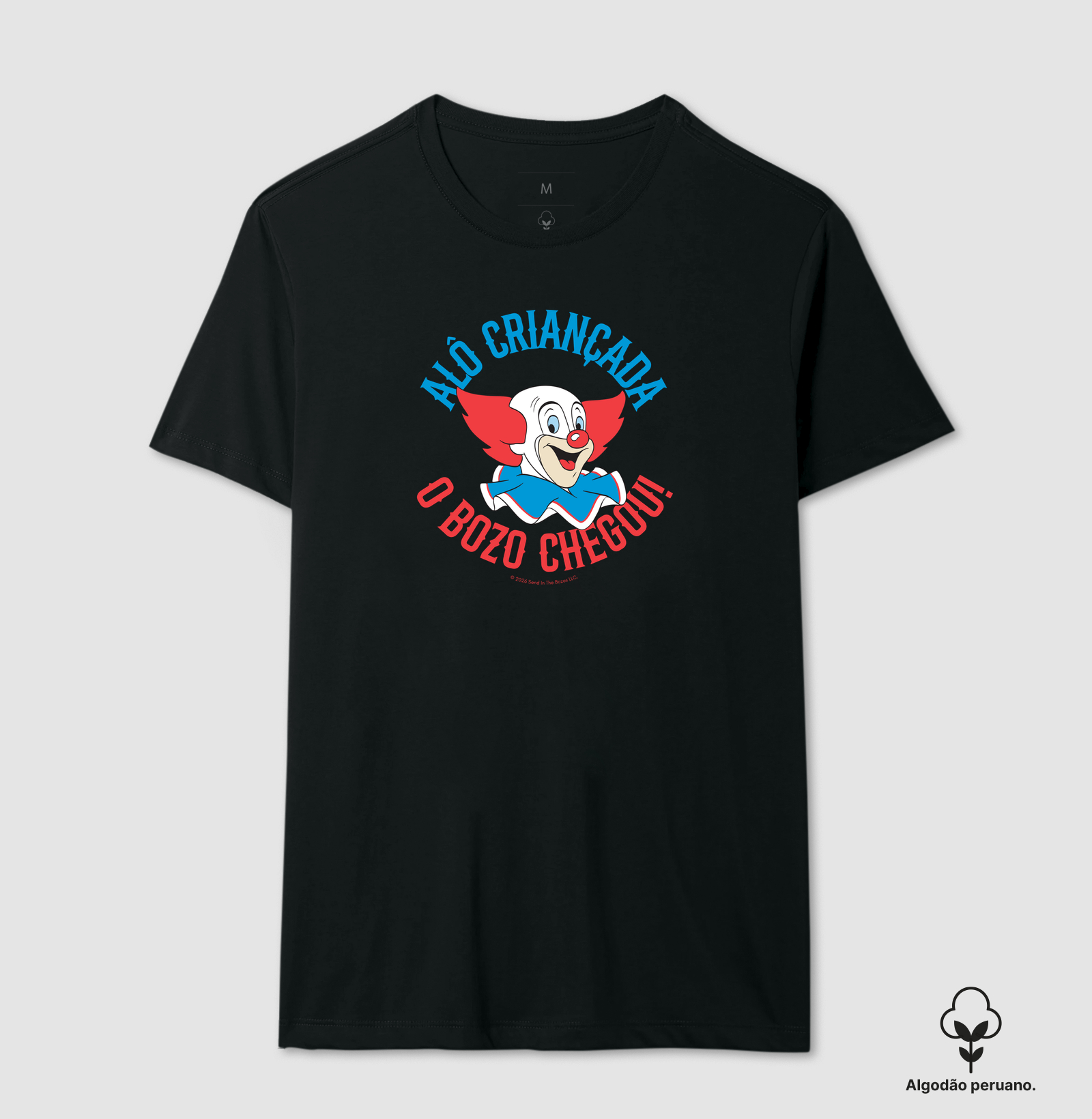 Camisa 2