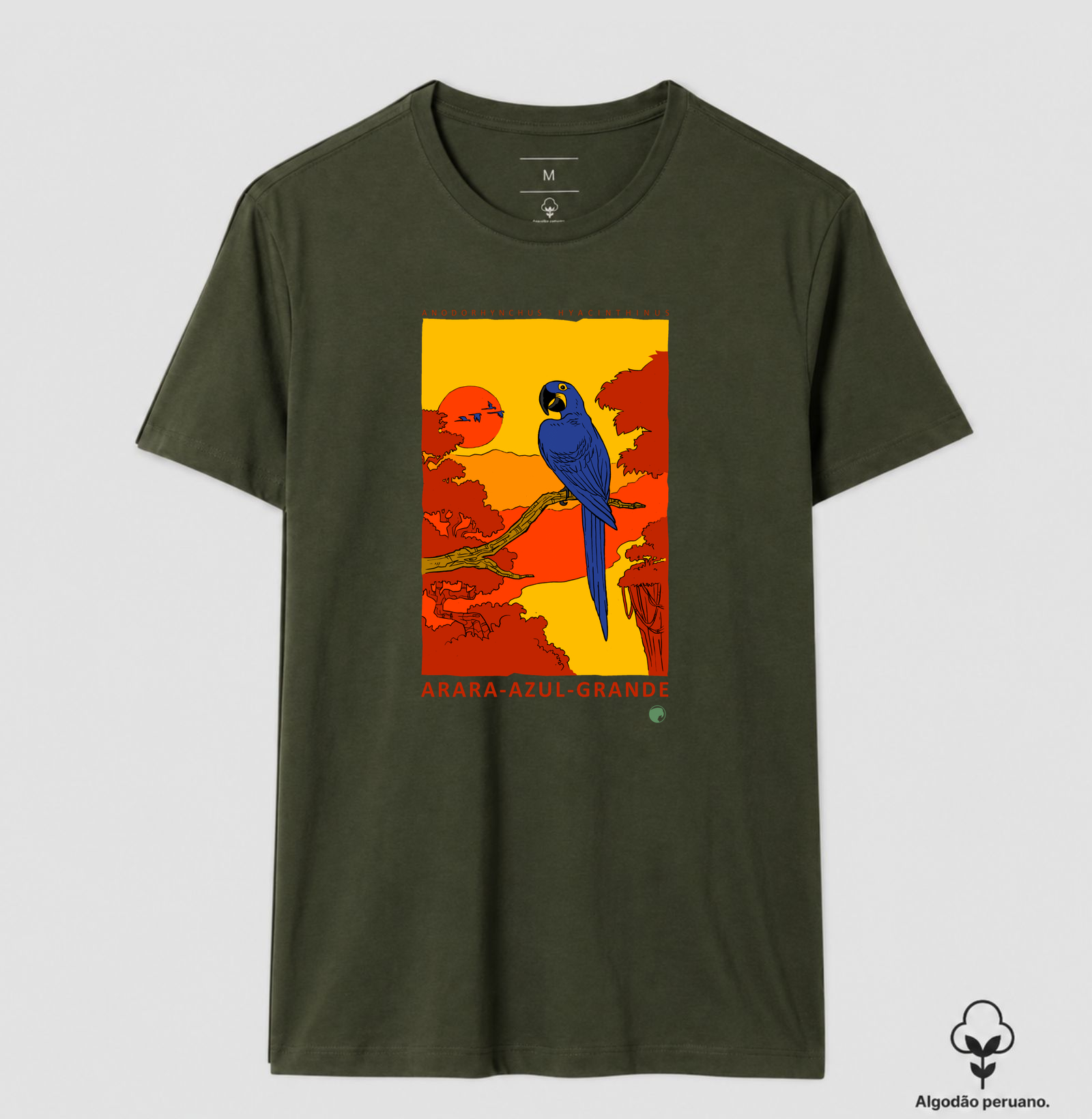 Arara-azul - Imagem 10