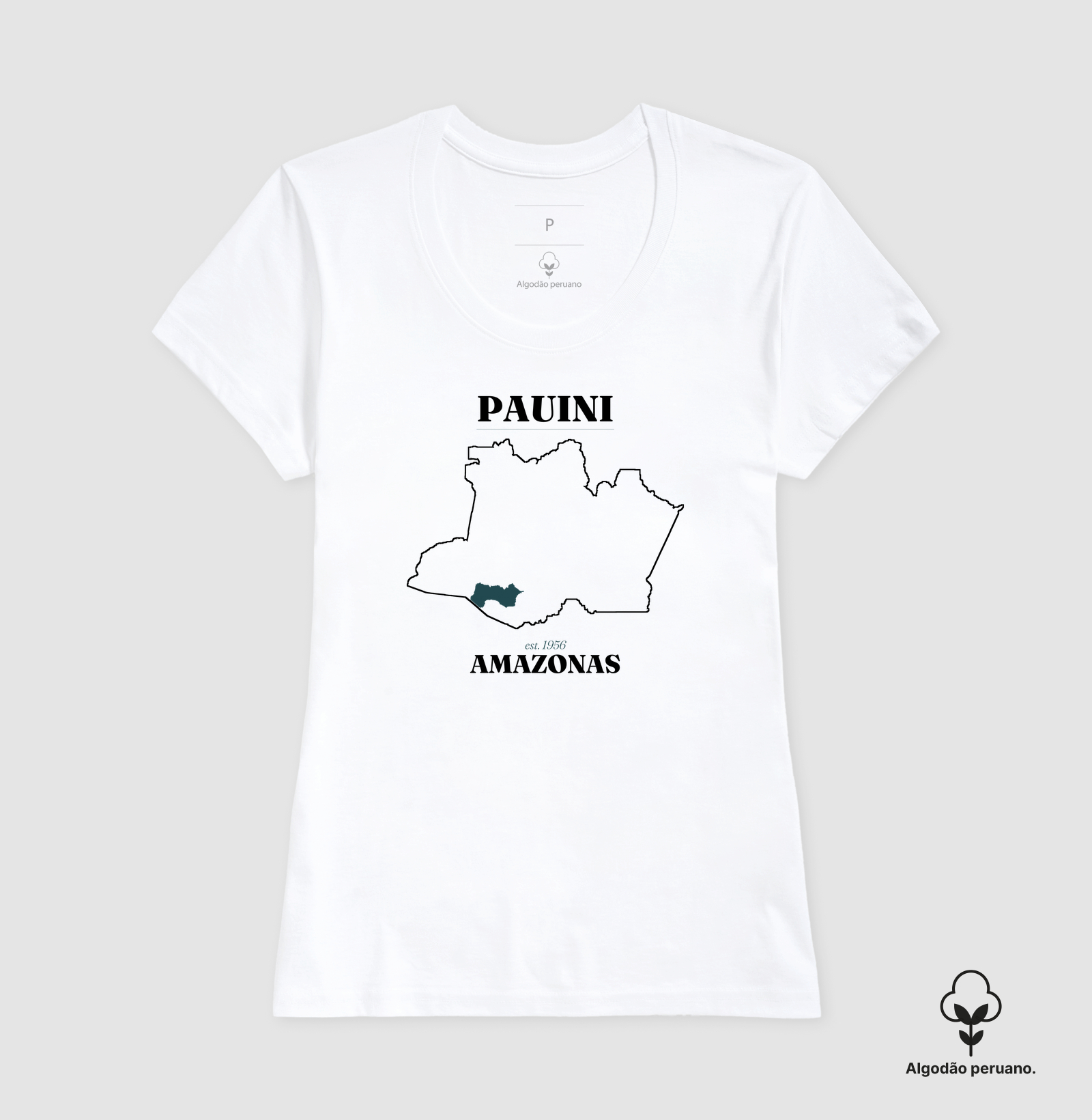 Pauini | Legado AM - Imagem 4