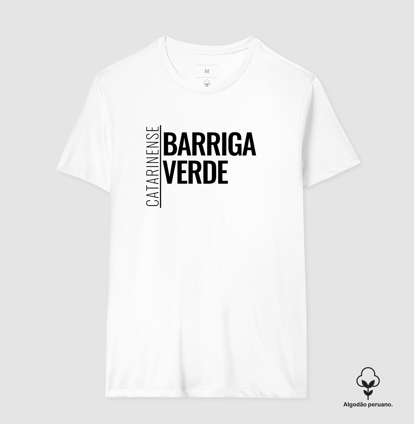 Catarinense — Barriga-Verde - Imagem 4
