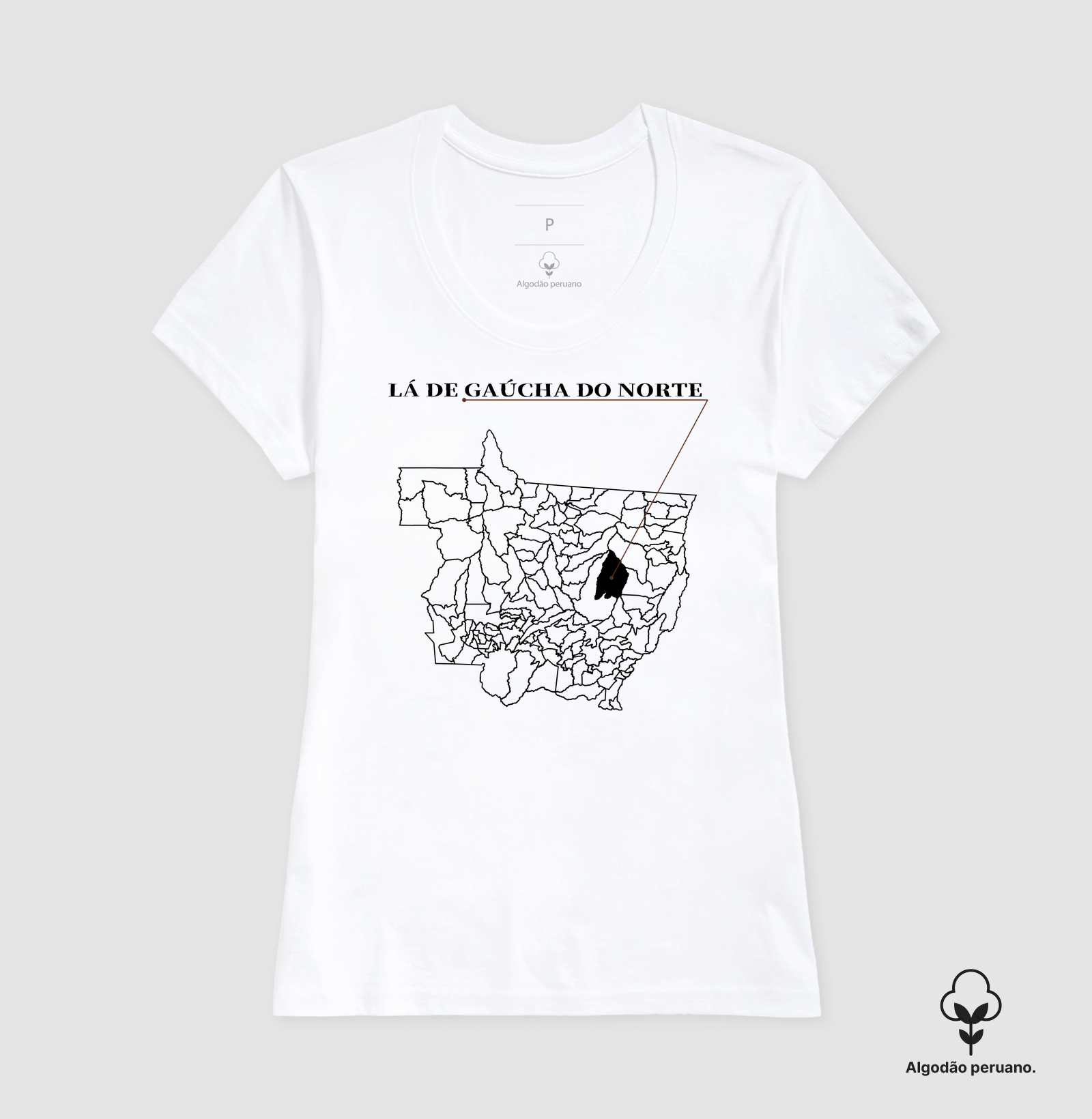 Gaúcha do Norte | Origem MT - Imagem 4
