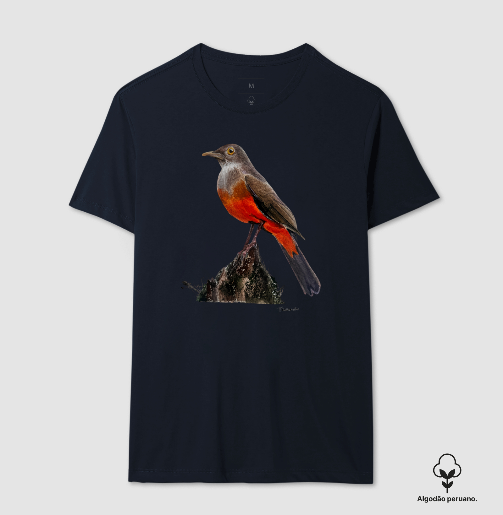 Camiseta Sabiá-Laranjeira – Aves do Brasil - Algodão Peruano - Imagem 9