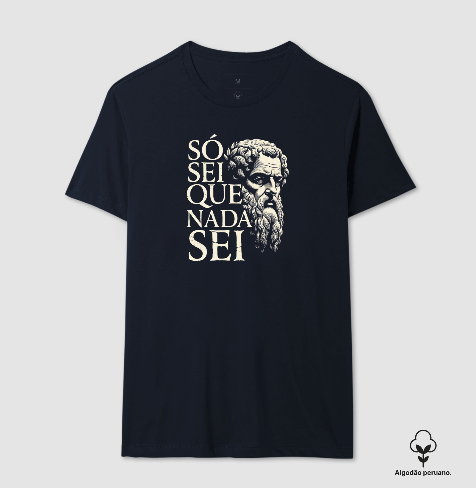 Filosofia de Sócrates "Só sei que nada sei" - Imagem 3