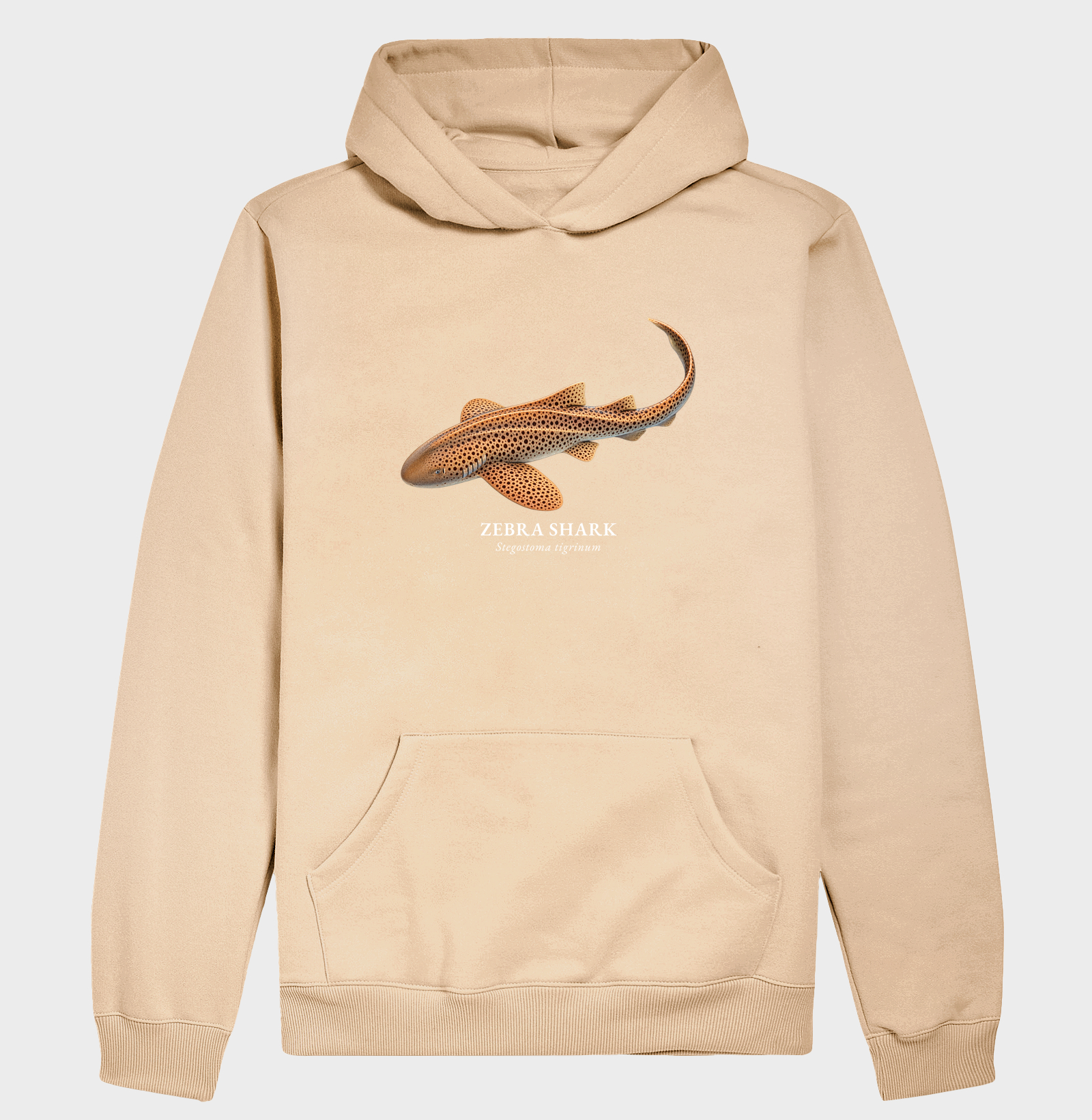 Zebra Shark - Imagem 5