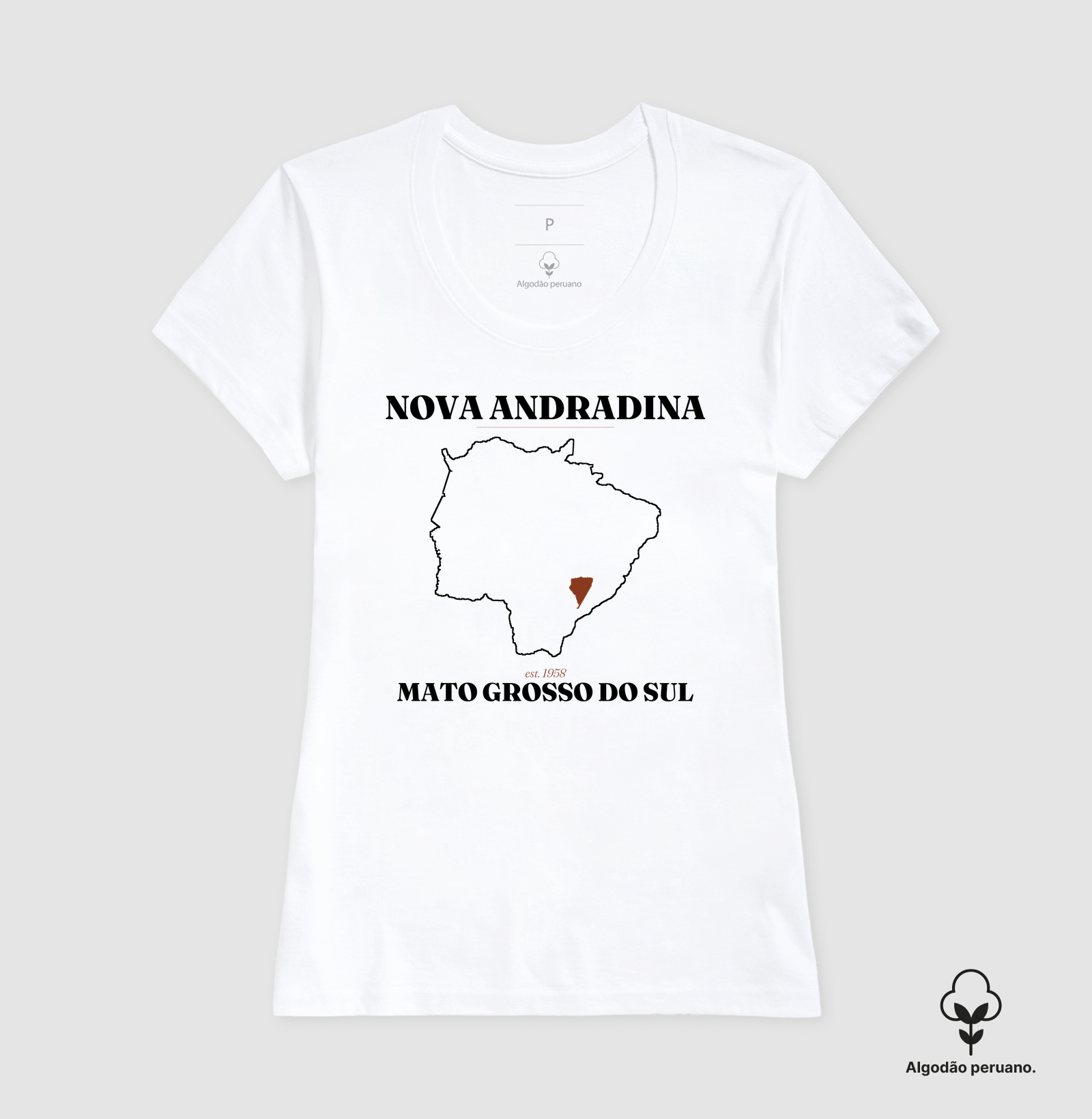 Nova Andradina | Legado MS - Imagem 4