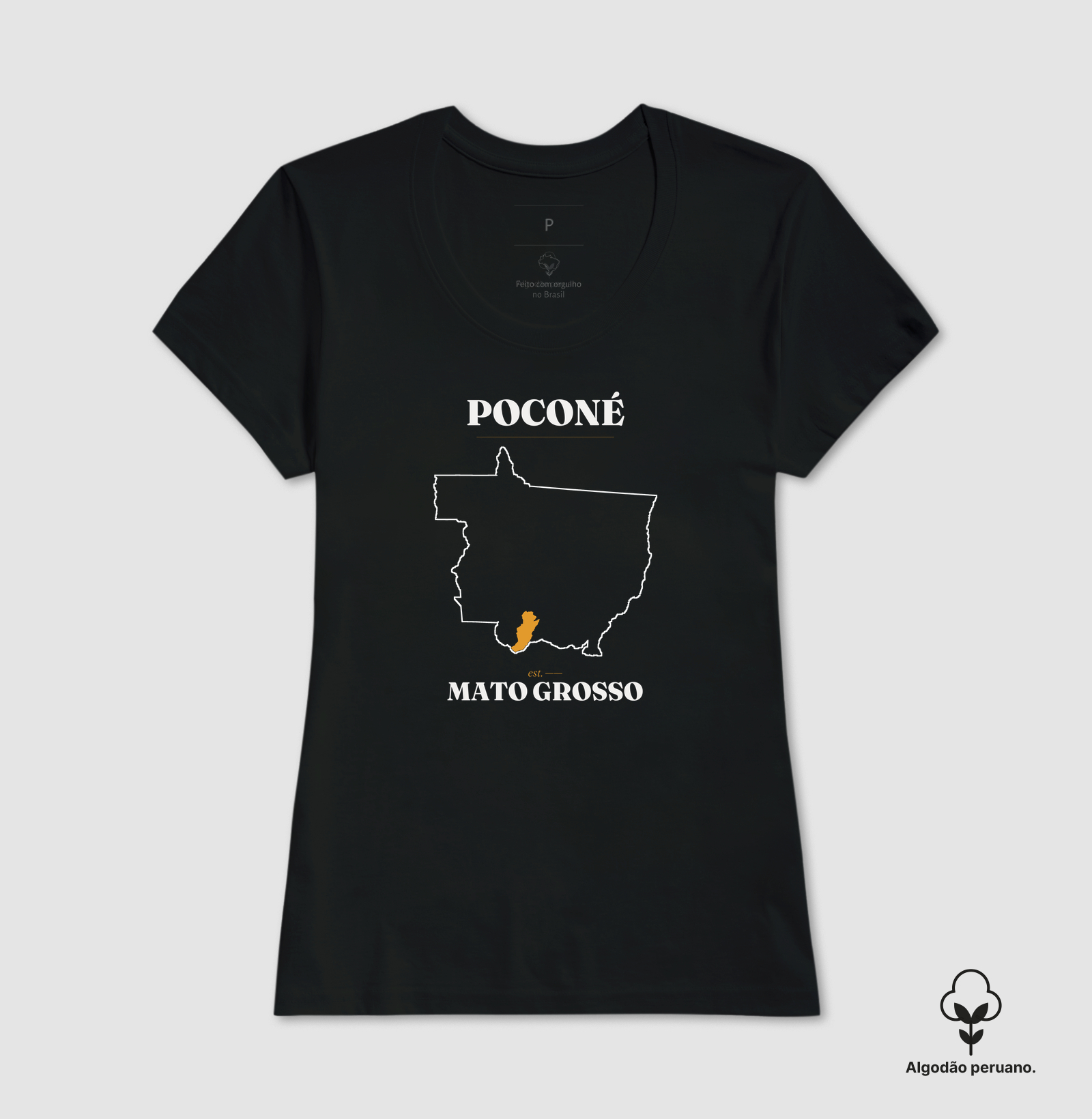 Poconé | Legado MT - Imagem 5