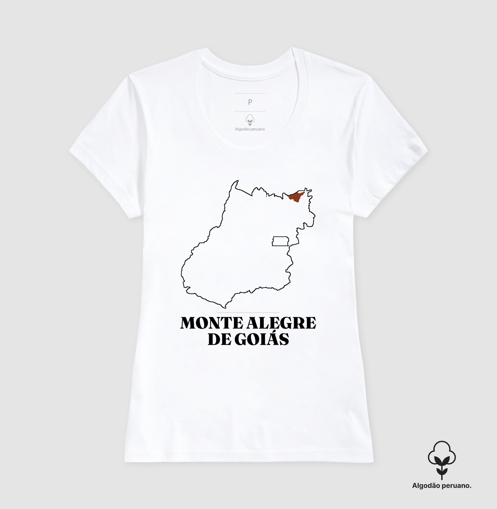 Monte Alegre de Goiás | Traço GO - Imagem 4