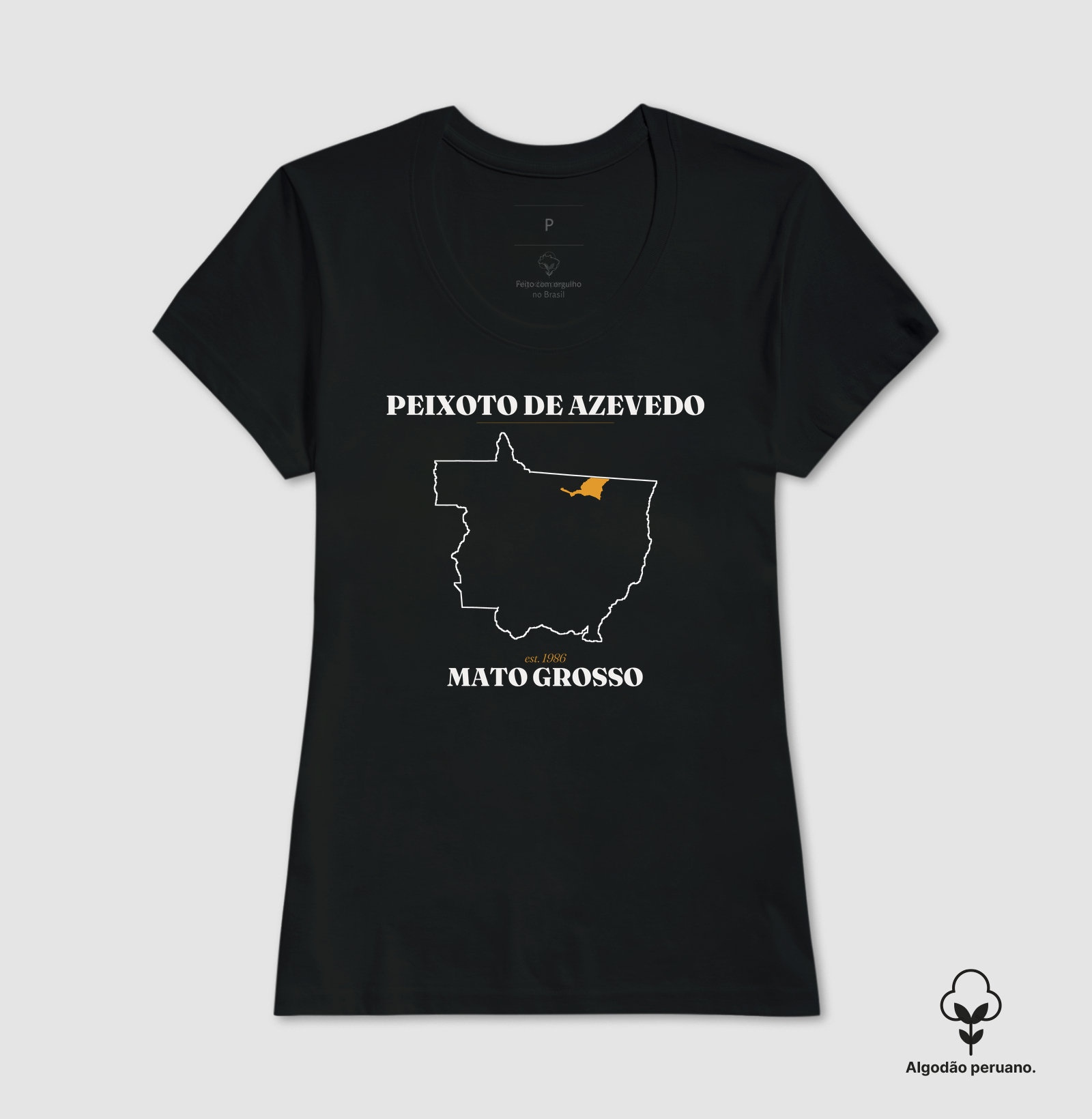 Peixoto de Azevedo | Legado MT - Imagem 3
