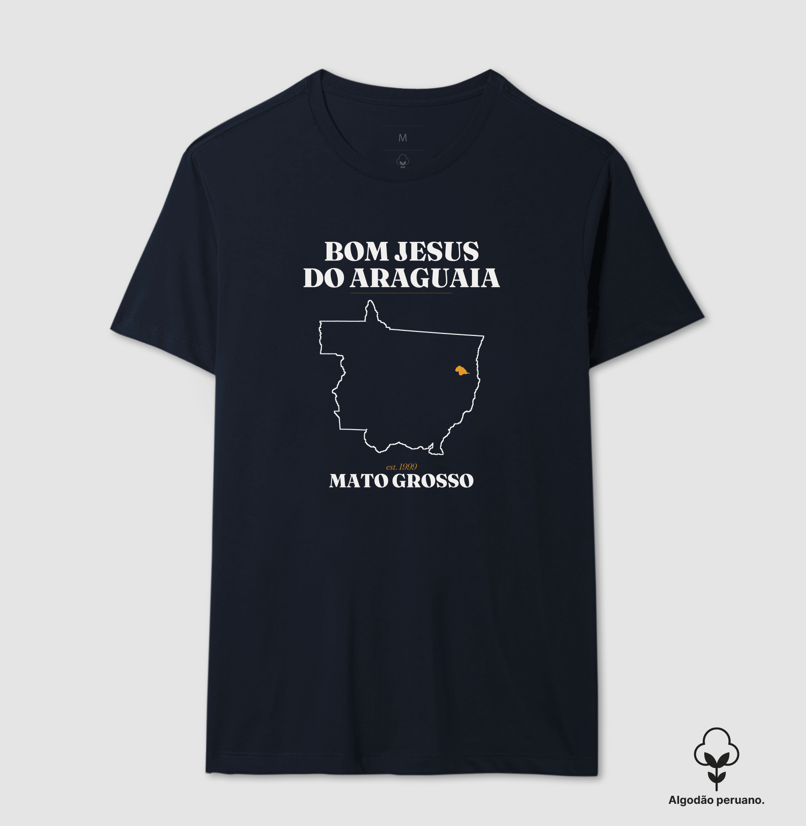 Bom Jesus do Araguaia | Legado MT - Imagem 6