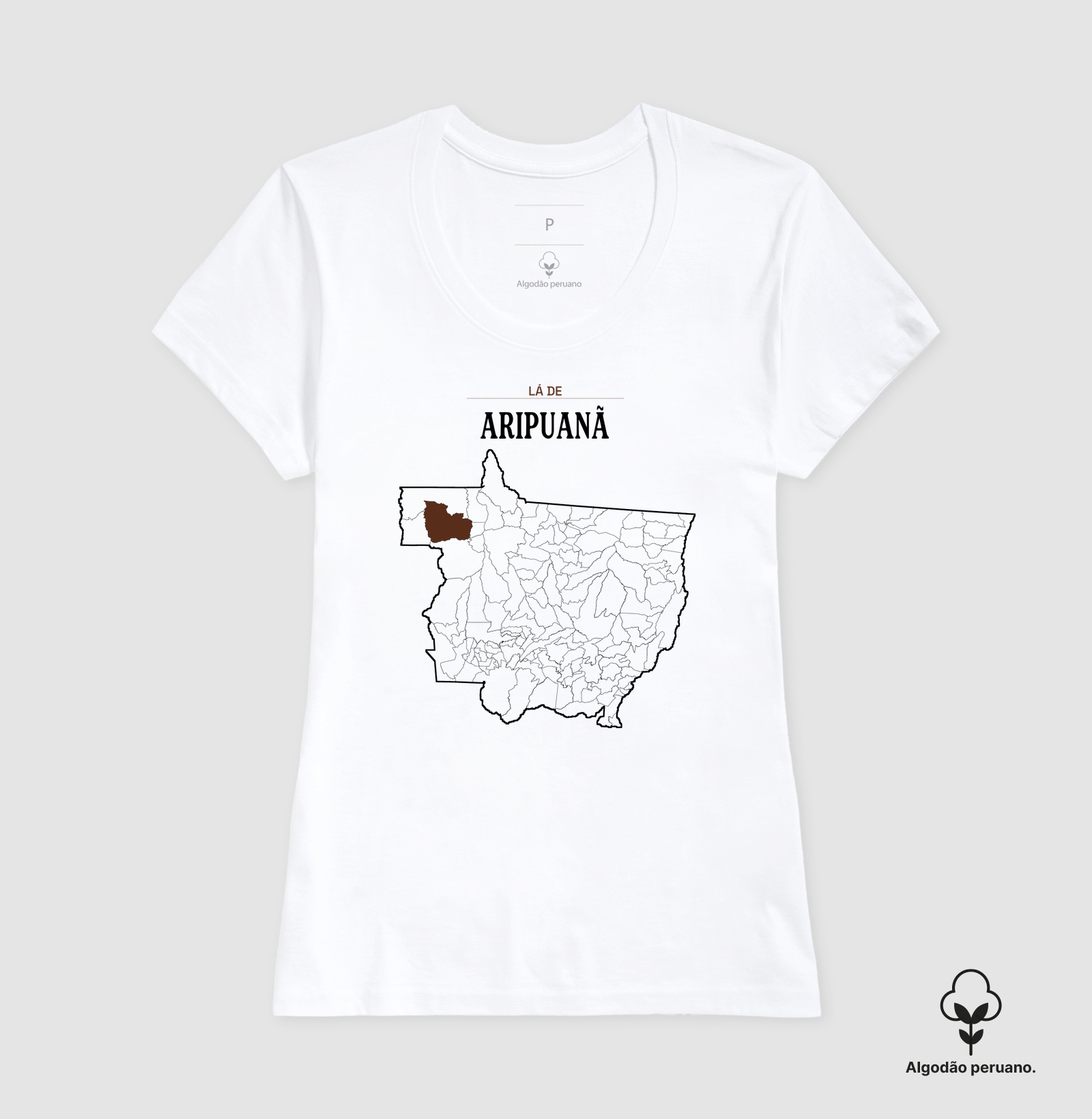 Aripuanã | Território MT - Imagem 8