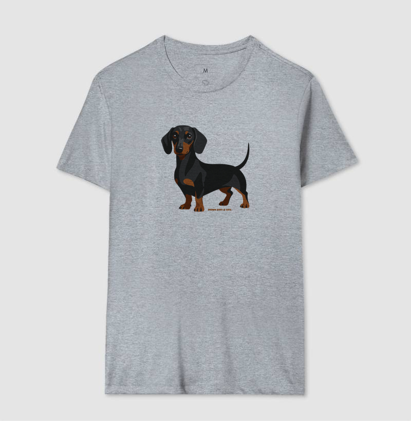 Dachshund - Imagem 4