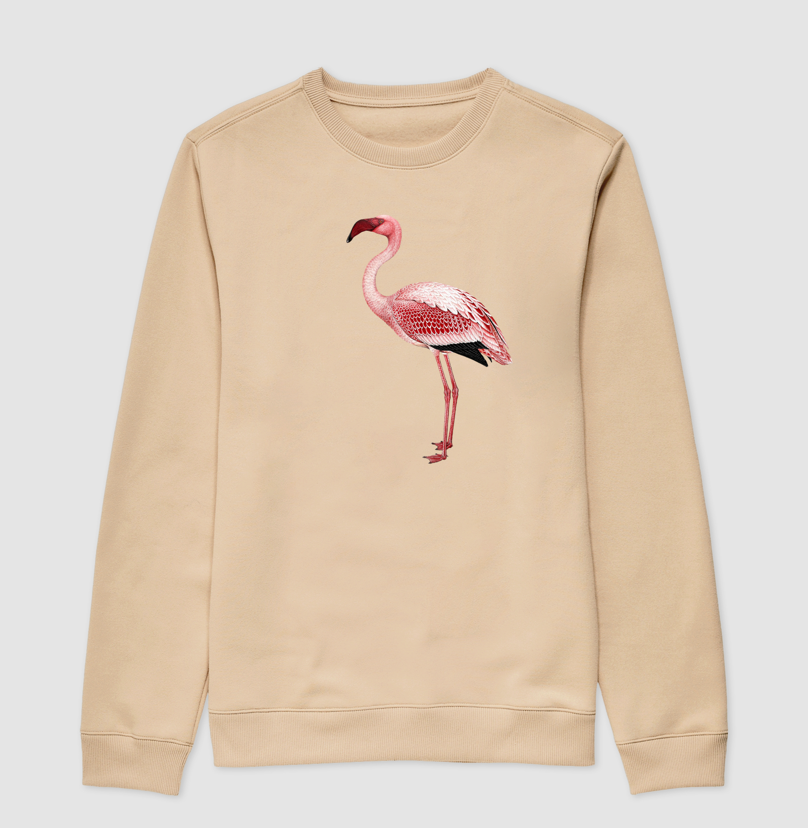 Flamingo - Imagem 3