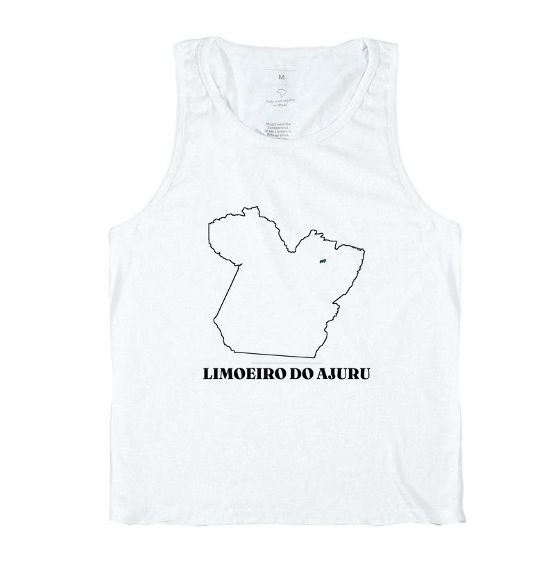 Limoeiro do Ajuru | Traço PA - Imagem 2