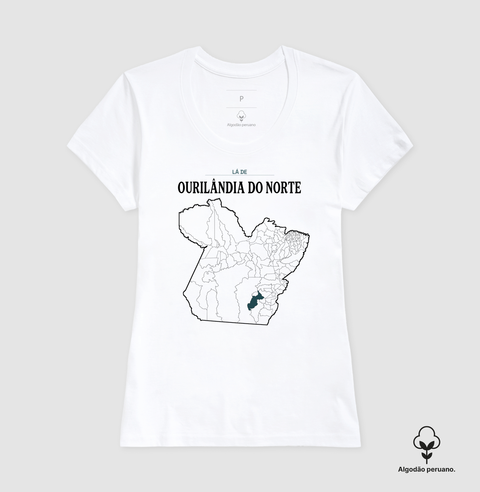 Ourilândia do Norte | Território PA - Imagem 7