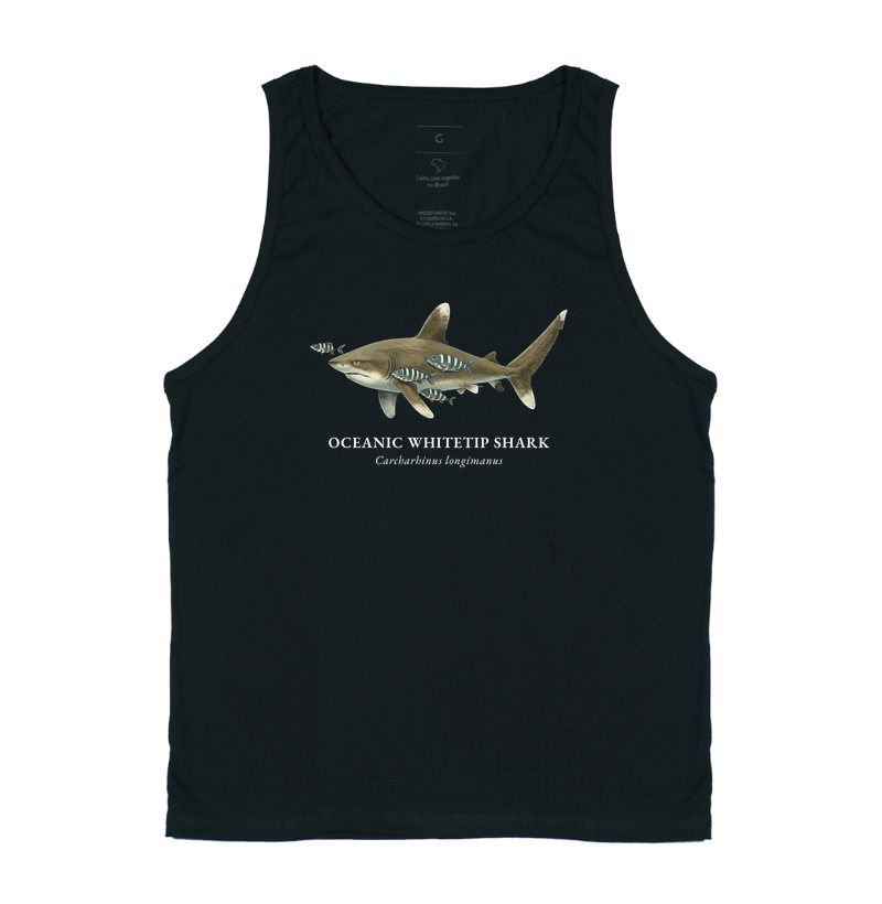 Oceanic Whitetip Shark - Imagem 5