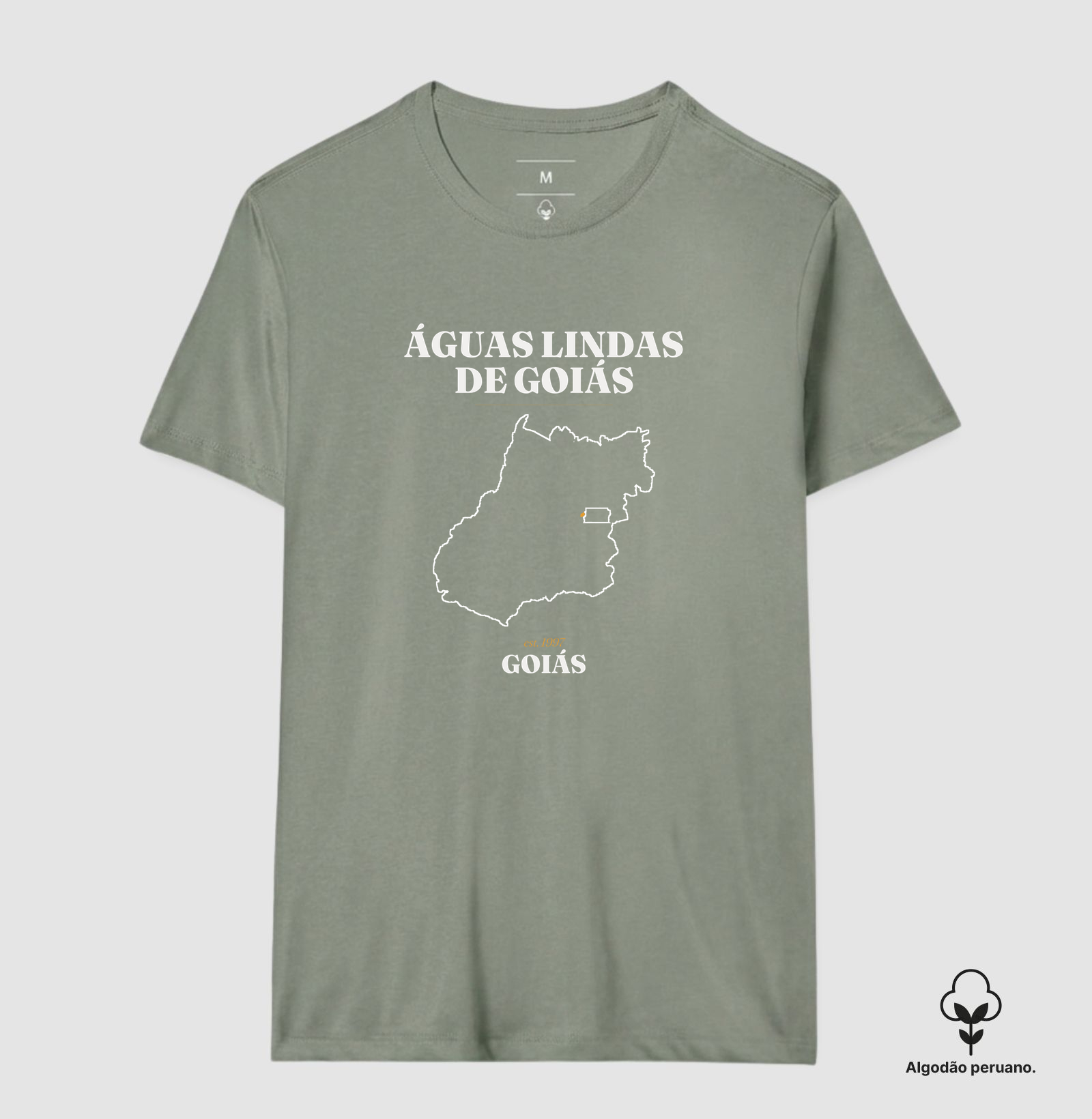 Águas Lindas de Goiás | Legado GO - Imagem 6