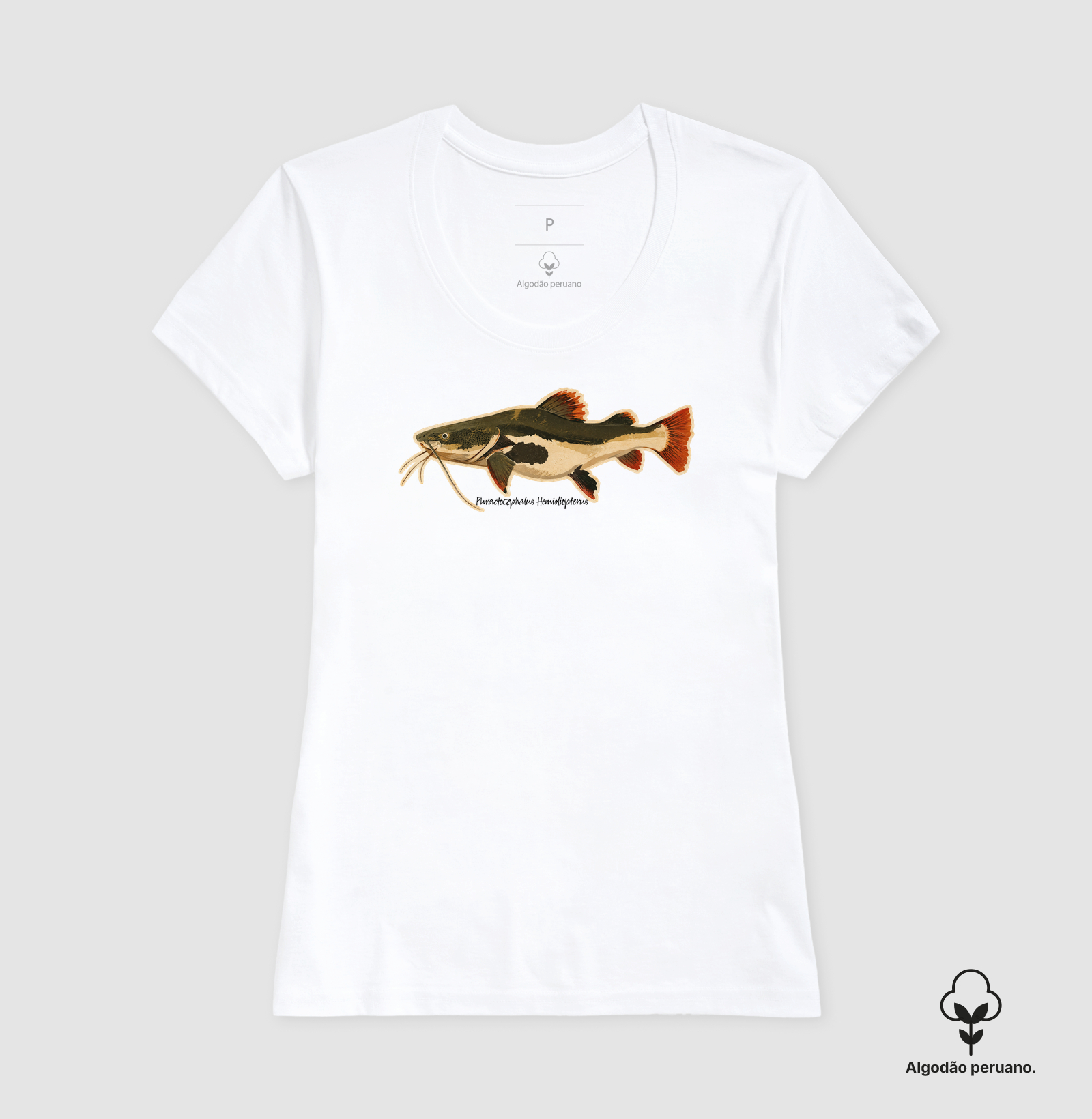 Pirarara 🐟 - Imagem 6