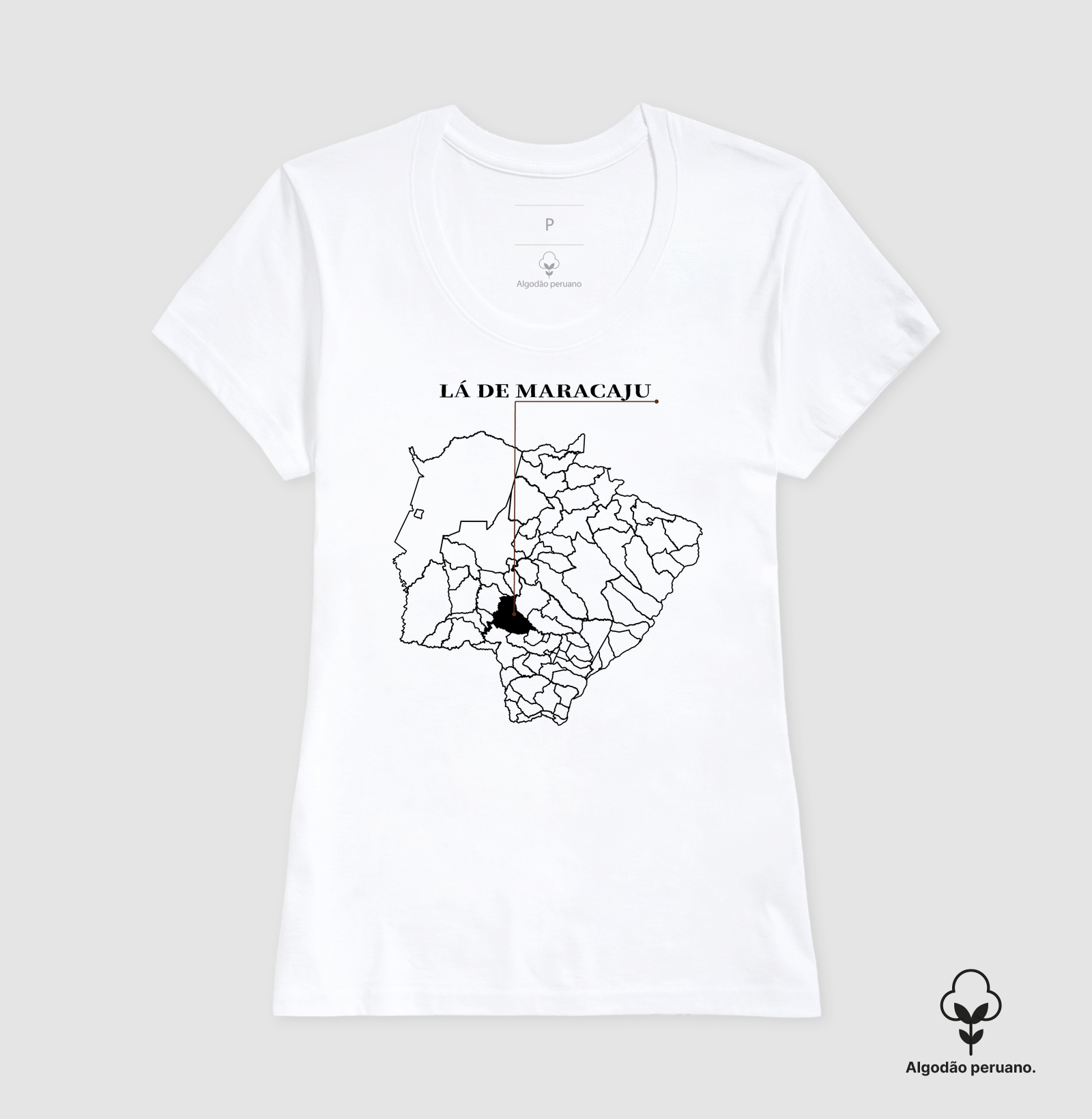 Maracaju | Origem MS - Imagem 6
