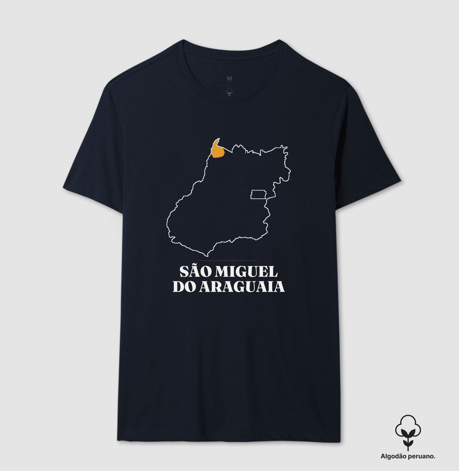 São Miguel do Araguaia | Traço GO - Imagem 7