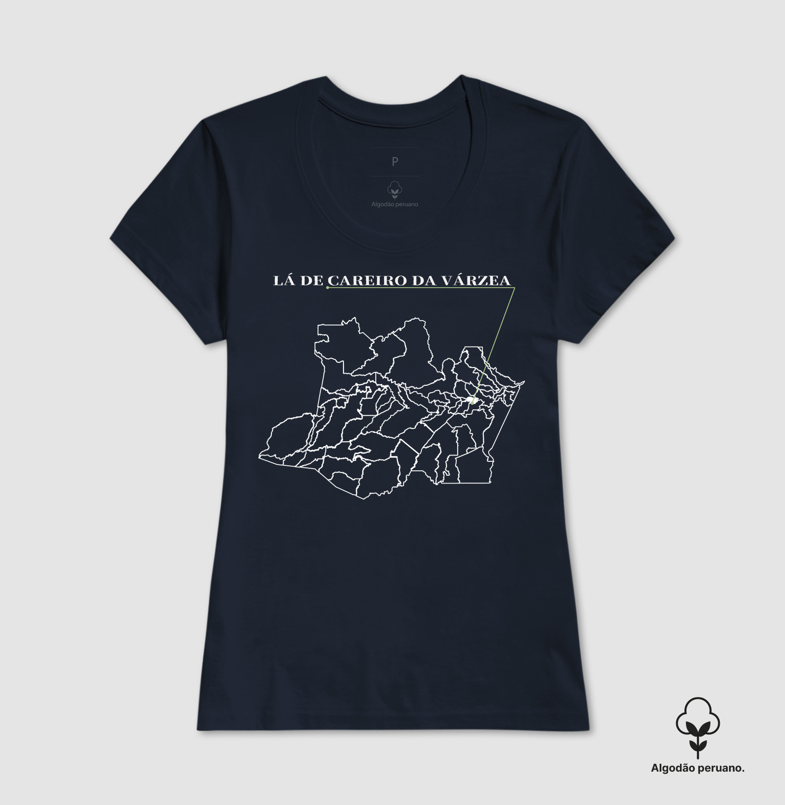 Careiro da Várzea | Origem AM - Imagem 6