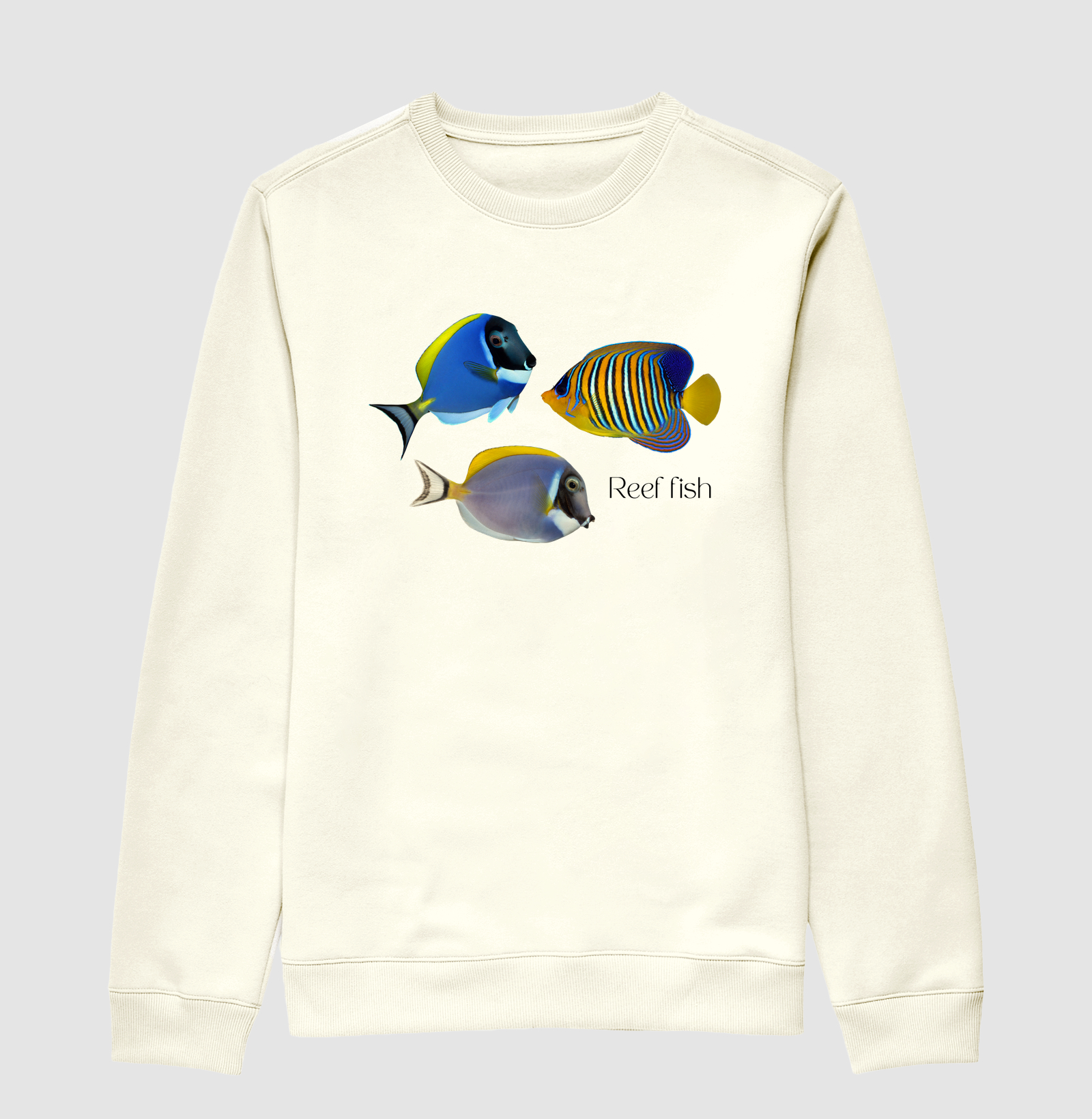 Reef Fish - Imagem 4