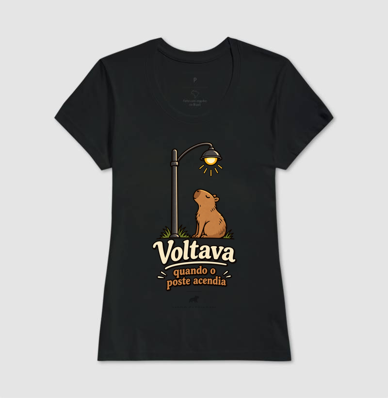 VOLTAVA QUANDO O POSTE ACENDIA - Imagem 5