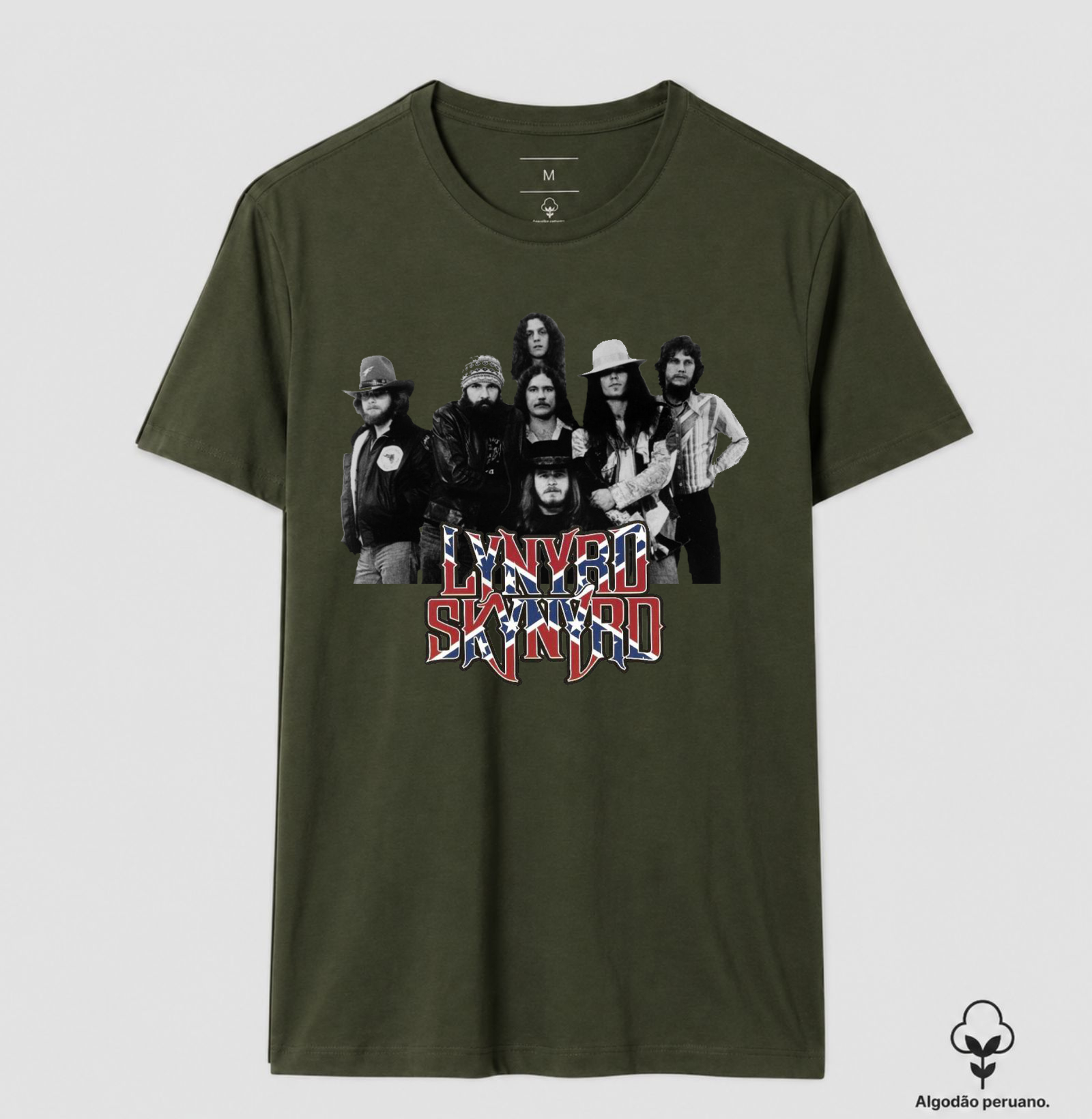 Lynyrd Skynyrd - Integrantes - Imagem 8