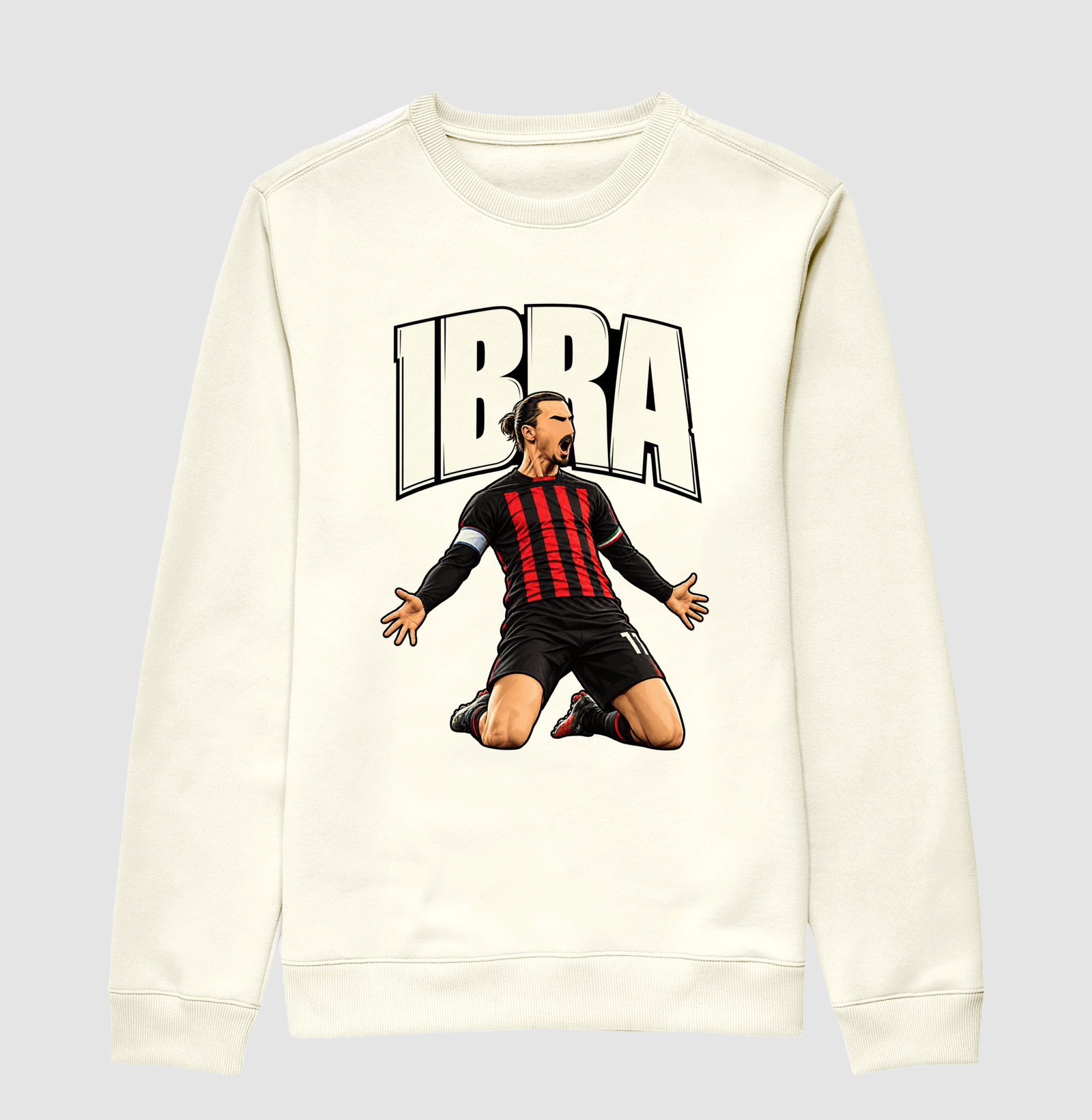IBRA - Imagem 2