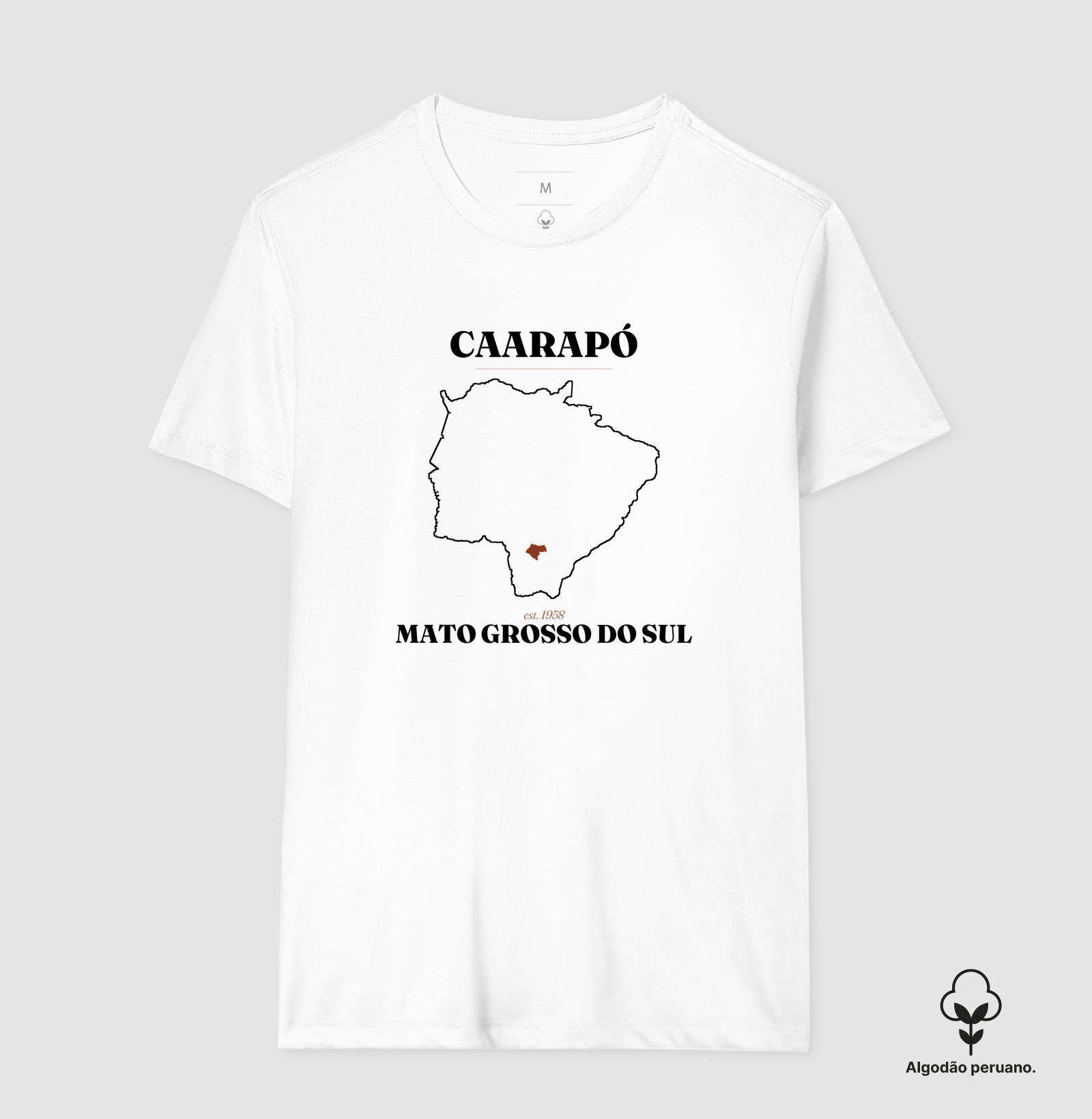 Caarapó | Legado MS - Imagem 7