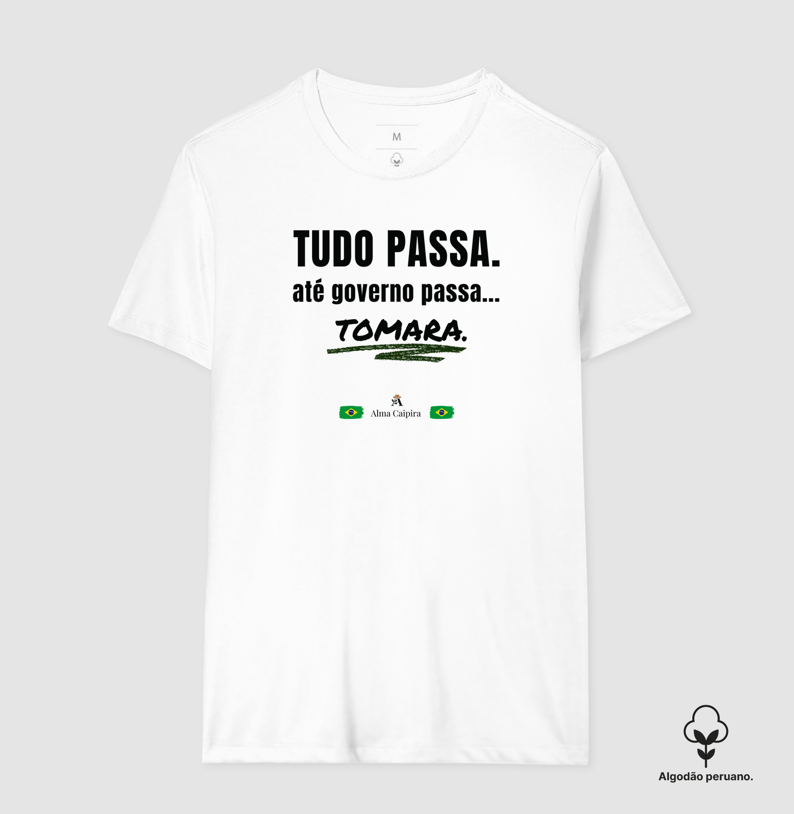 Tudo passa, até governo passa... tomara - Imagem 2