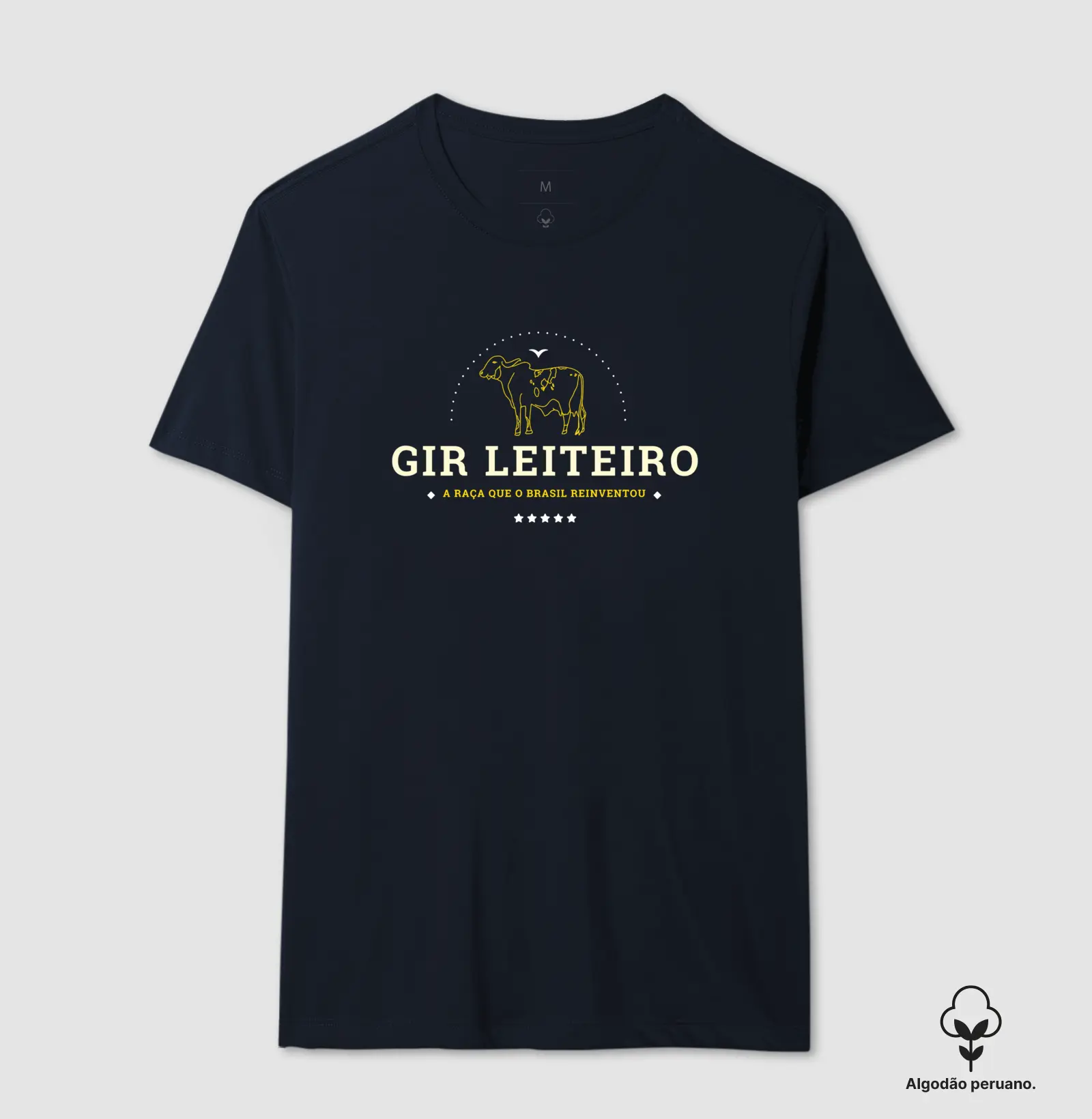 Gir Leiteiro - a raça reinventada no Brasil - Imagem 4