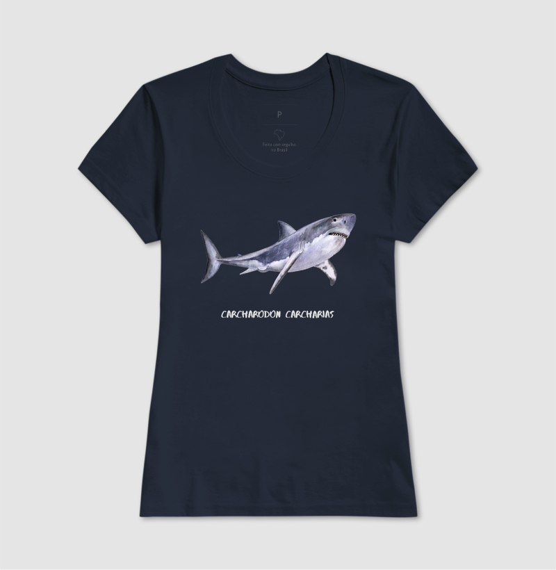 Carcharodon carcharias - Imagem 9